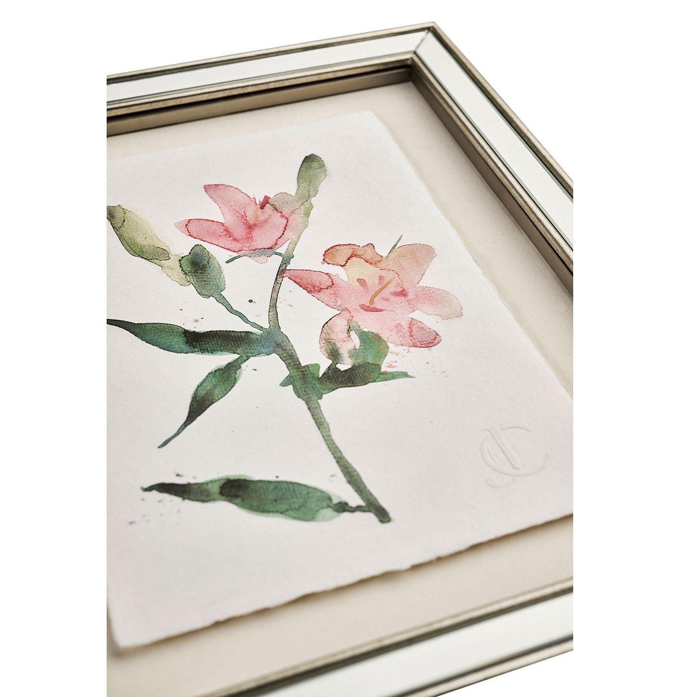 Petals and Process - Set of 6