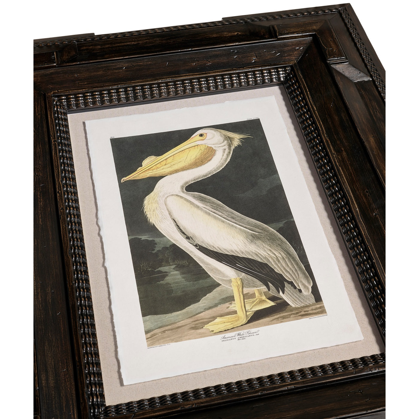 Audubon Birds - Set of 6