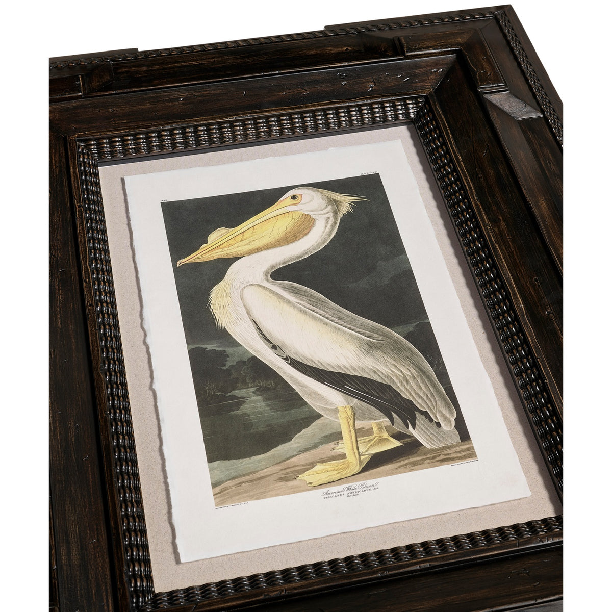 Audubon Birds - Set of 6