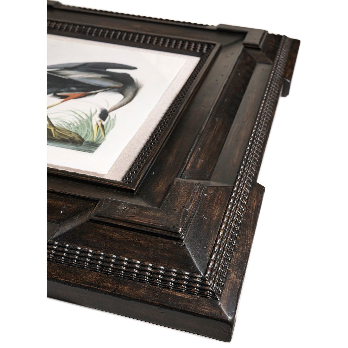 Audubon Birds - Set of 6