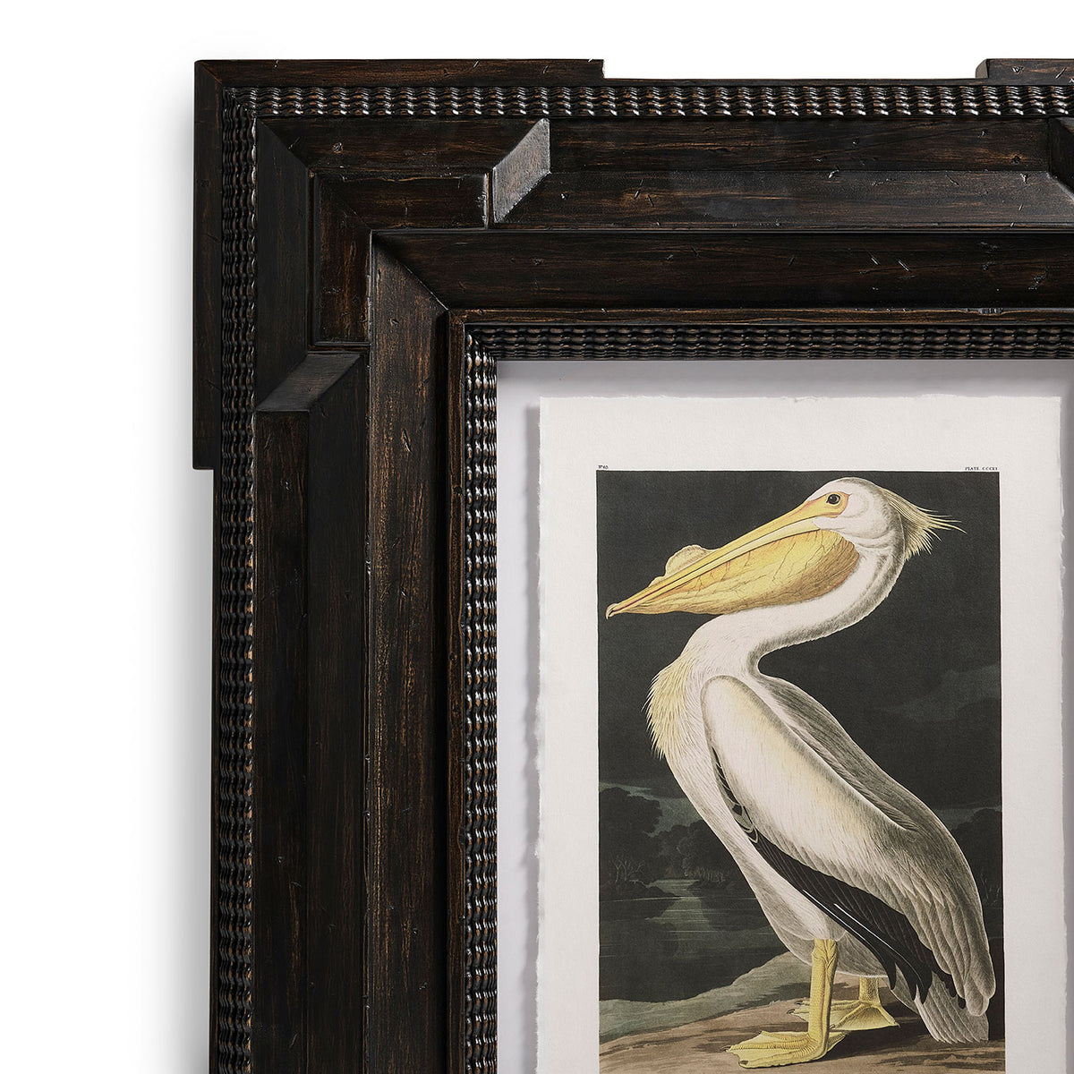 Audubon Birds - Set of 6