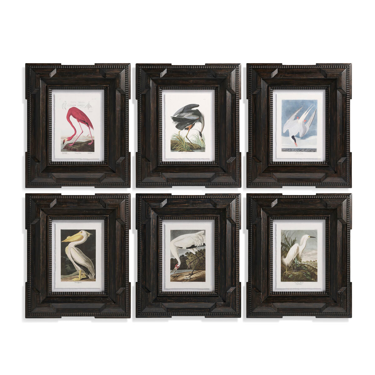 Audubon Birds - Set of 6