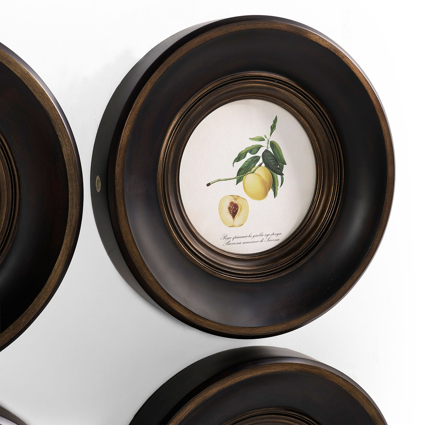 Vintage Fruit No. 1 - Set of 4