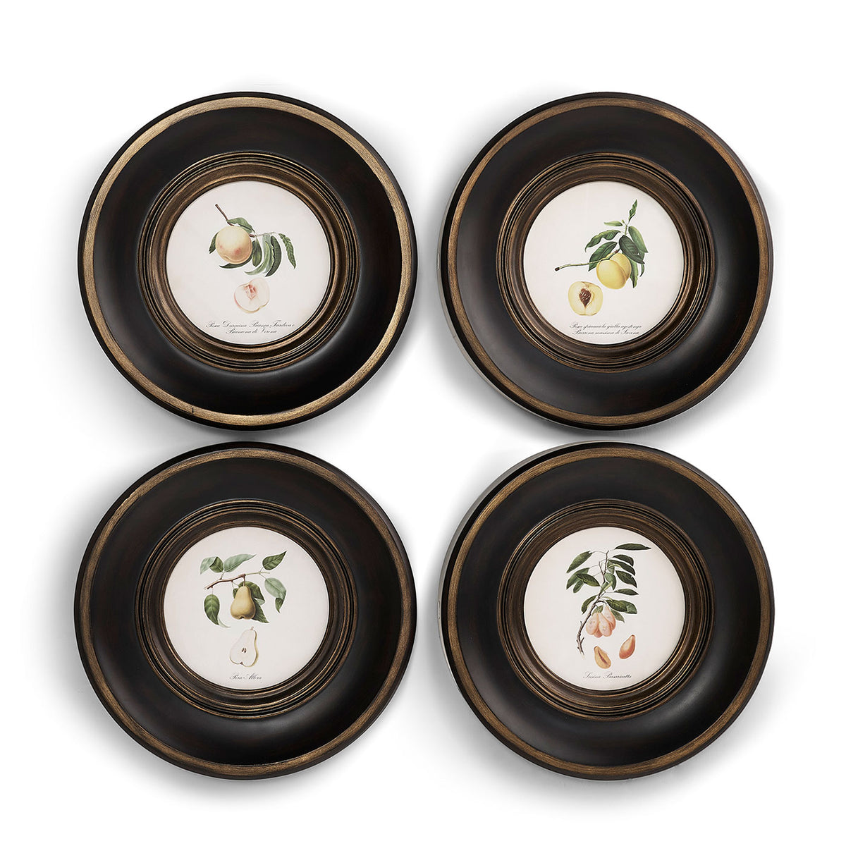 Vintage Fruit No. 1 - Set of 4
