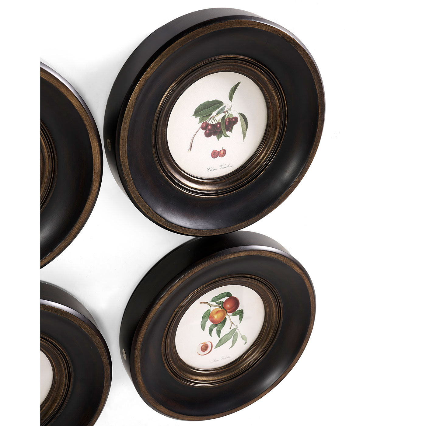 Vintage Fruit No. 2 - Set of 4