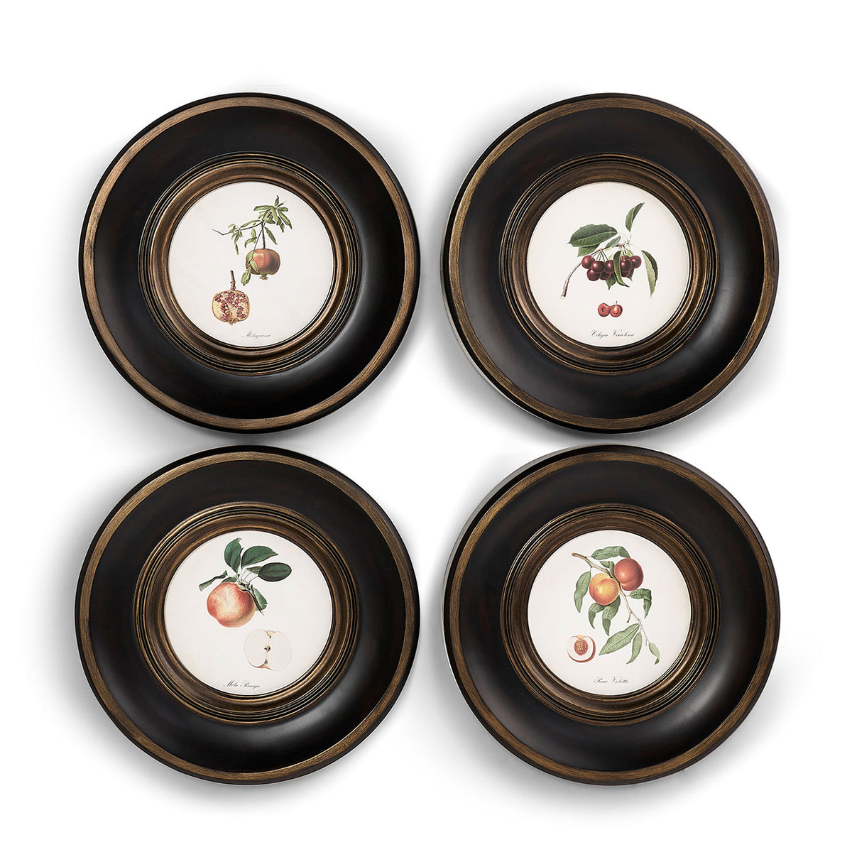 Vintage Fruit No. 2 - Set of 4