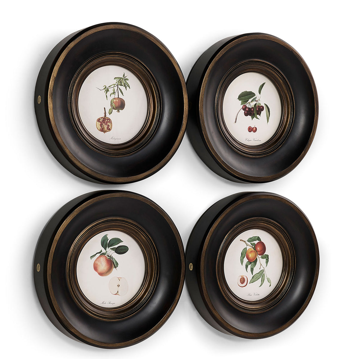 Vintage Fruit No. 2 - Set of 4