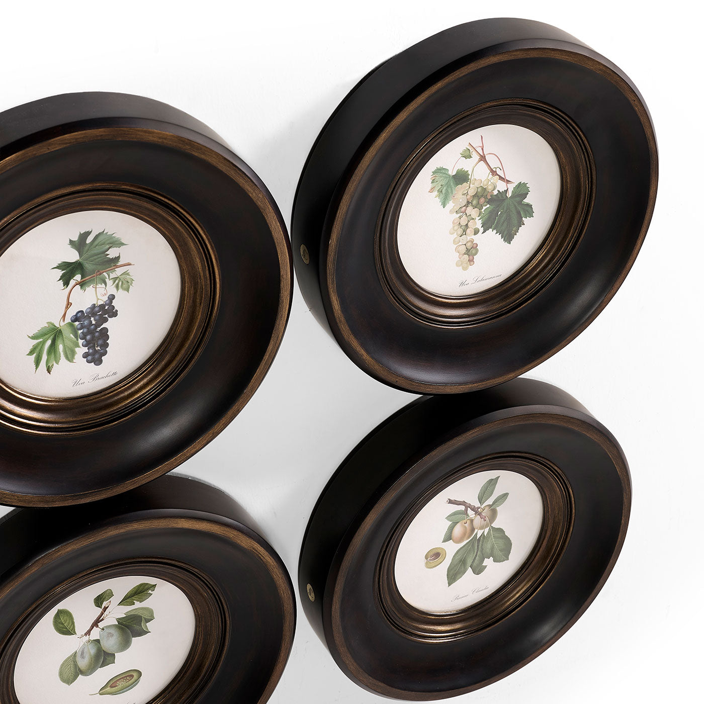 Vintage Fruit No. 3 - Set of 4
