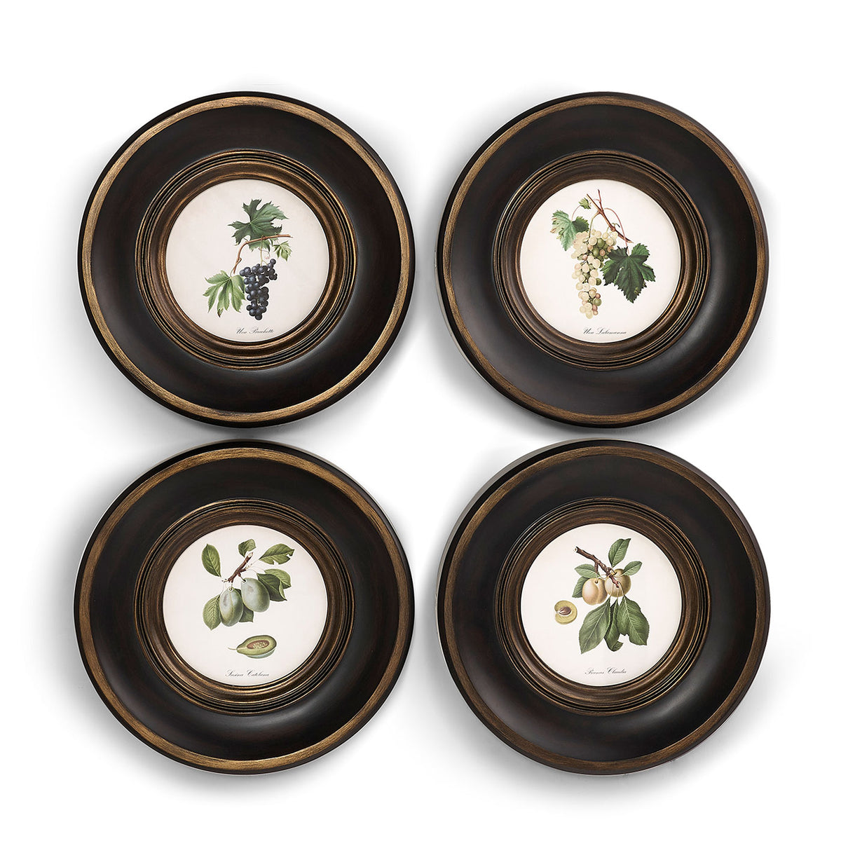 Vintage Fruit No. 3 - Set of 4