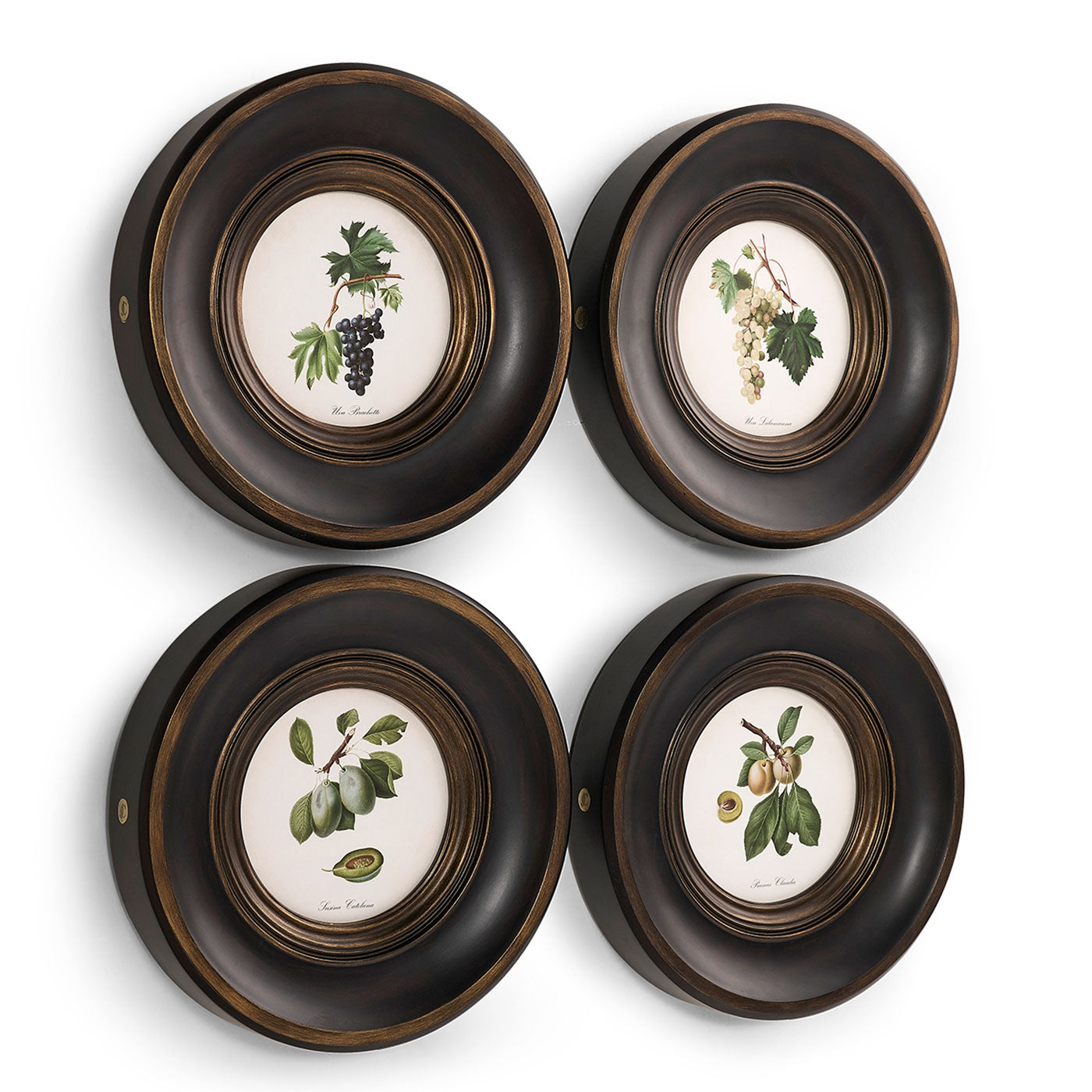 Vintage Fruit No. 3 - Set of 4