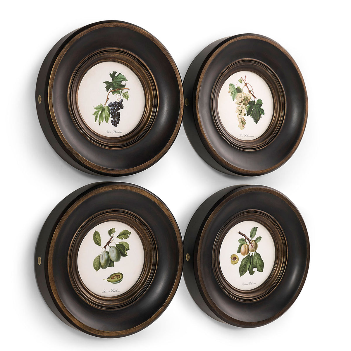 Vintage Fruit No. 3 - Set of 4