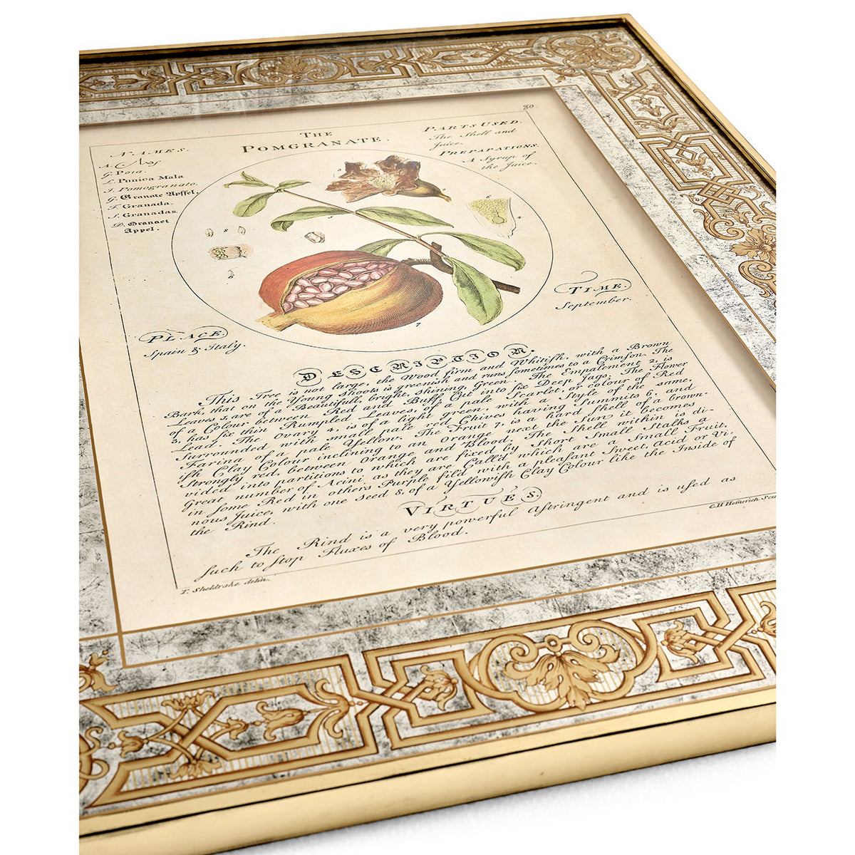 Herbal of Enlightenment - Set of 4