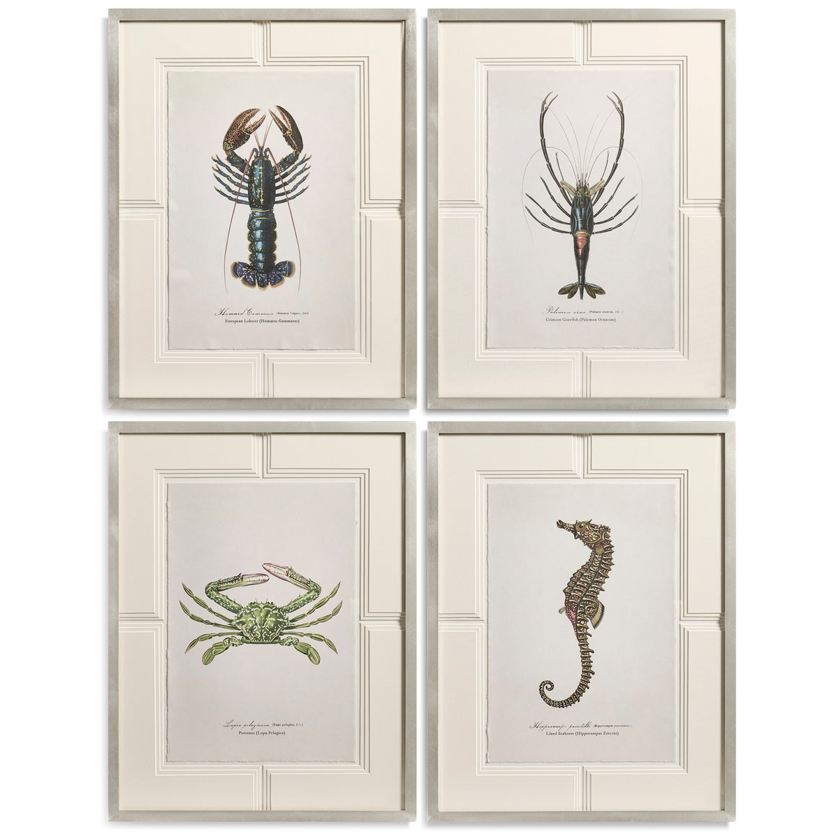 Vintage Marine Animals - Set of 4