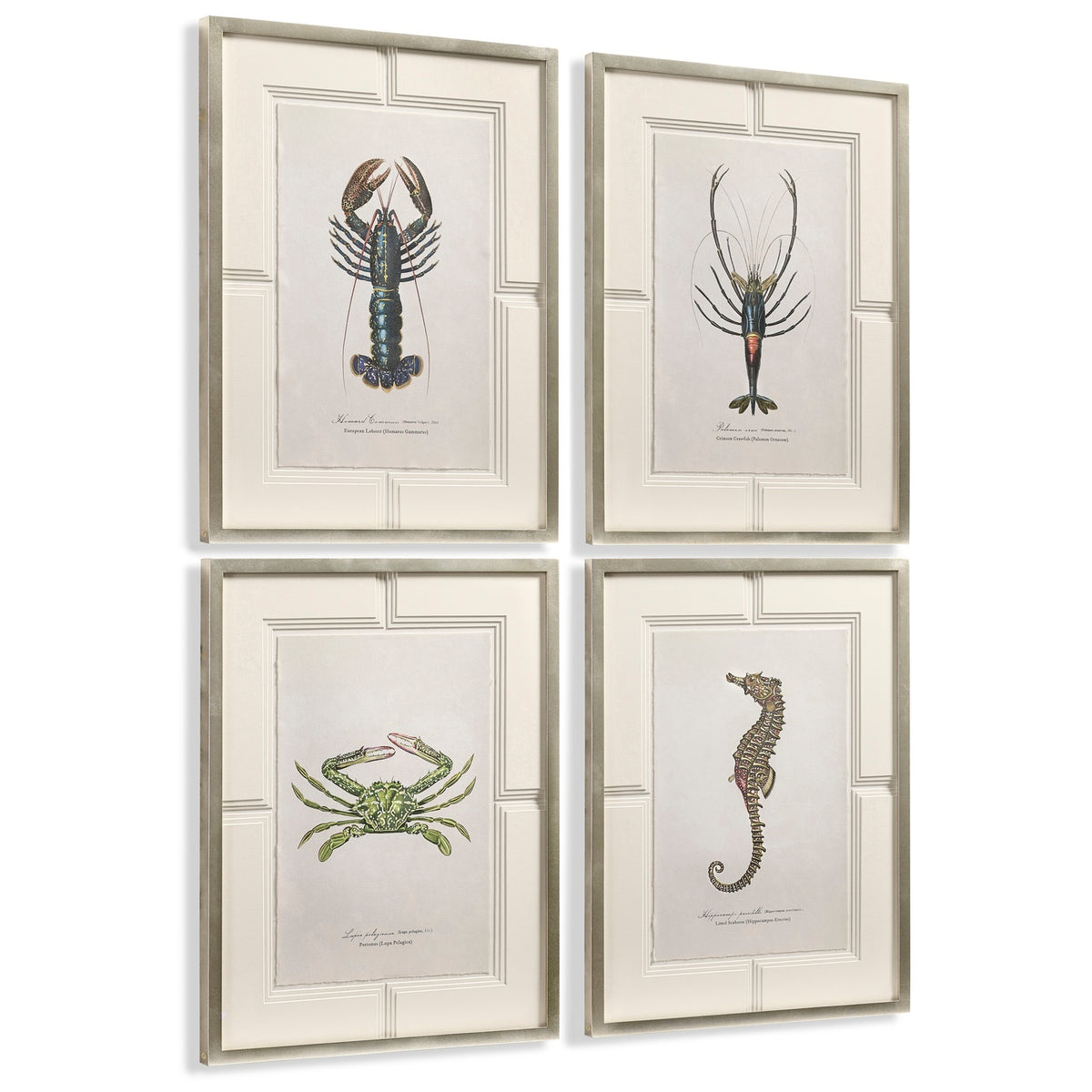 Vintage Marine Animals - Set of 4