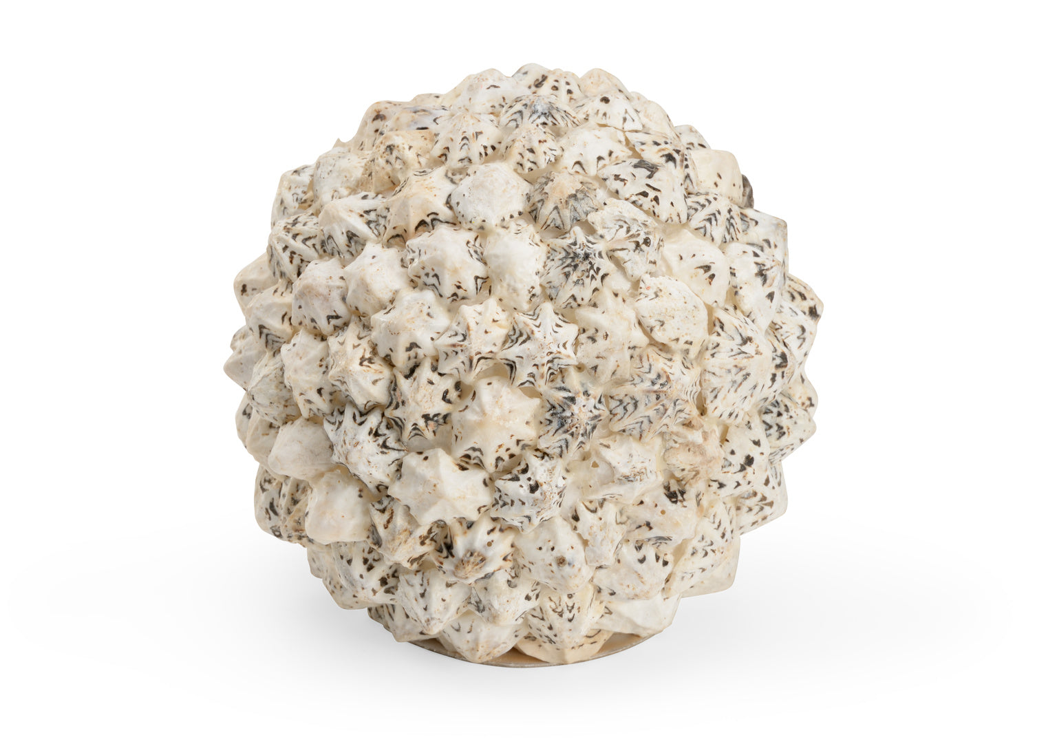Shell Ball (Sm) in 3.5 / Shell - Chelsea House