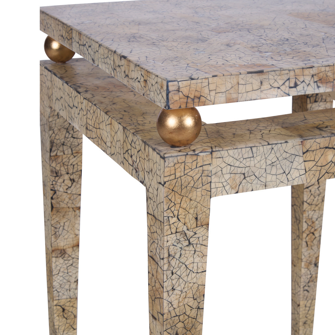 Hugo Side Table in Natural Coco/Gold Leaf / Wood - Chelsea House