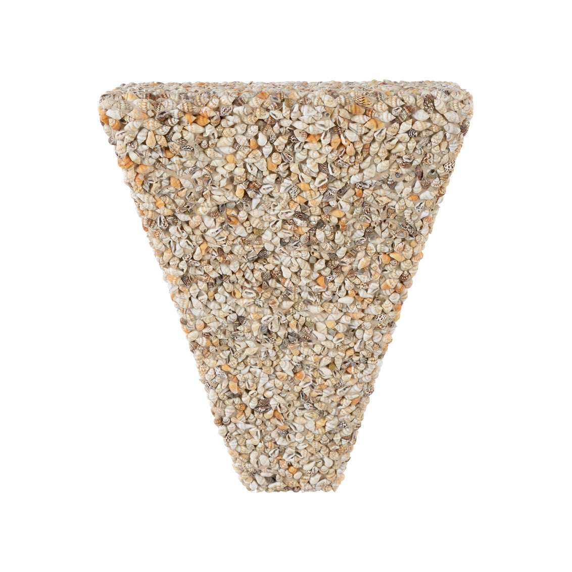 Shell Bracket - Natural in 12 / Nassa Shell - Chelsea House