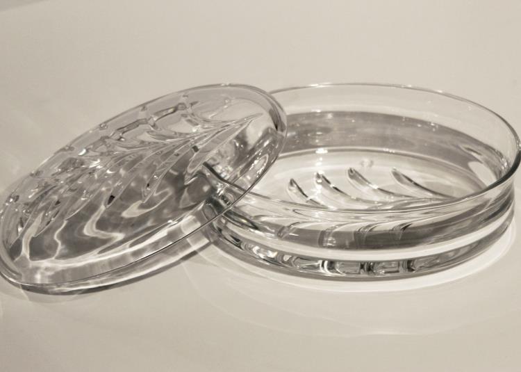 Oliver Dish – Accessories by Maitland-Smith | Sutter & Vale