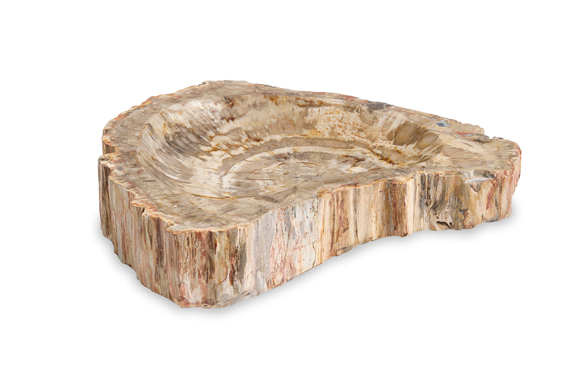 Large Brown Petrified Bowl