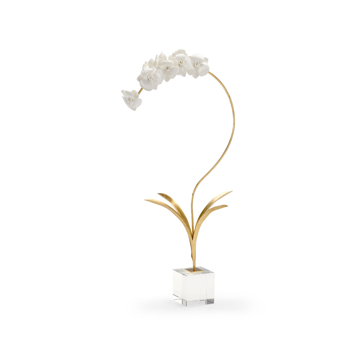 Large Orchid On Stand