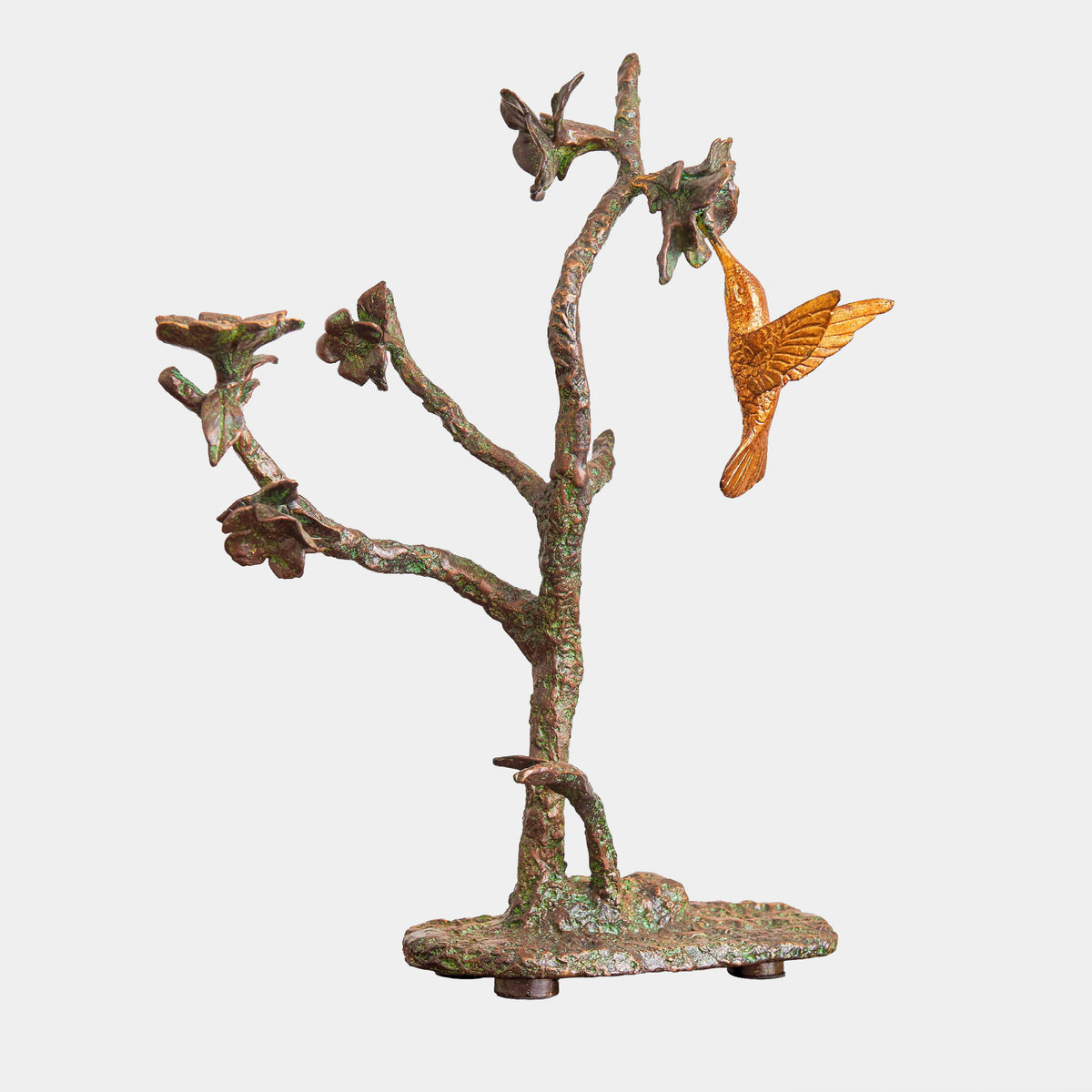 Hummingbird-Verdi