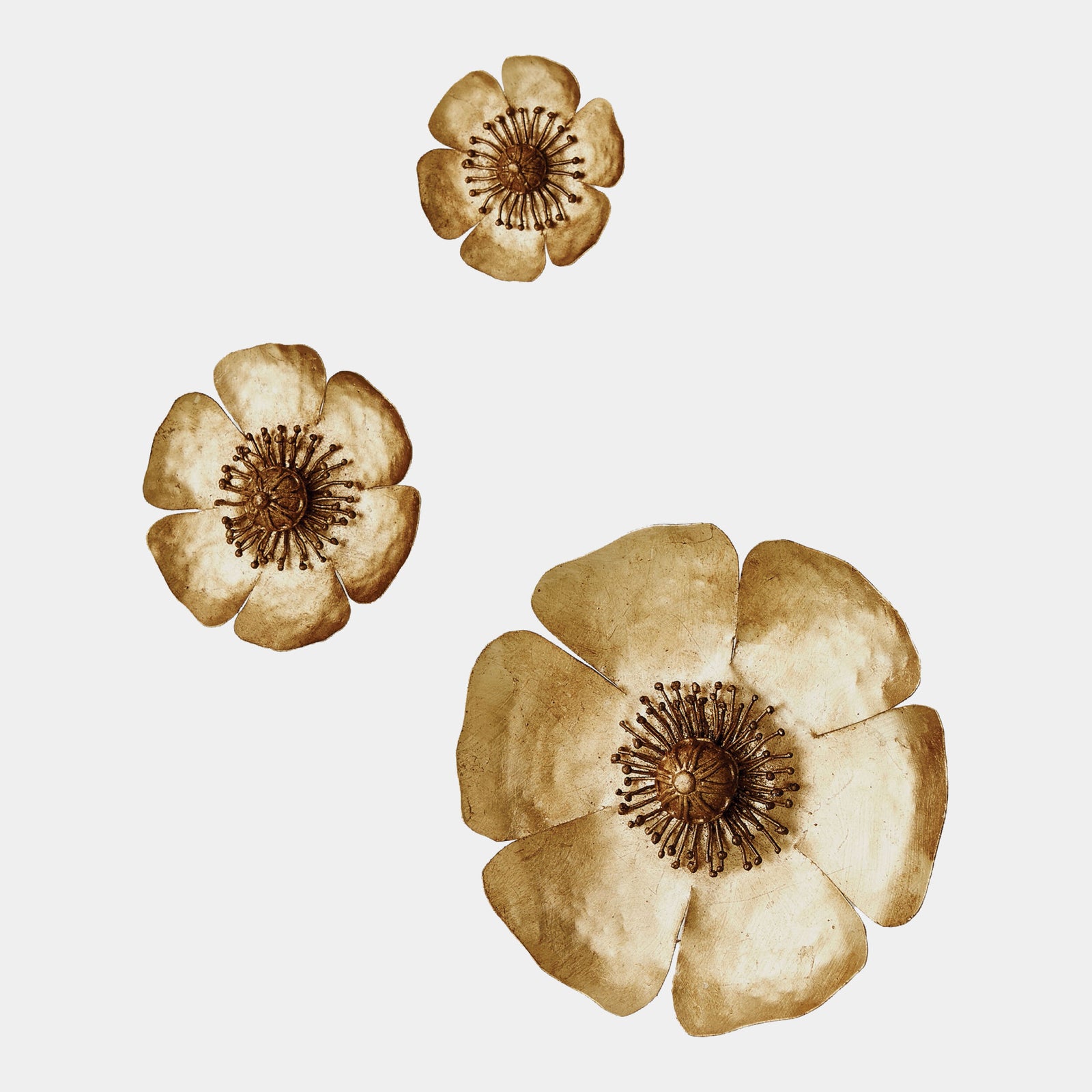 Golden Poppies