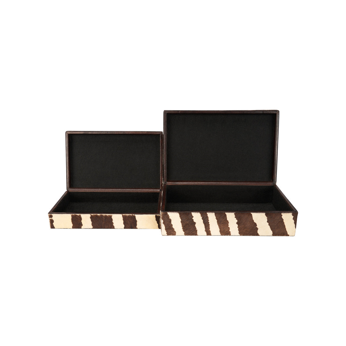 Zebra Boxes (S2)