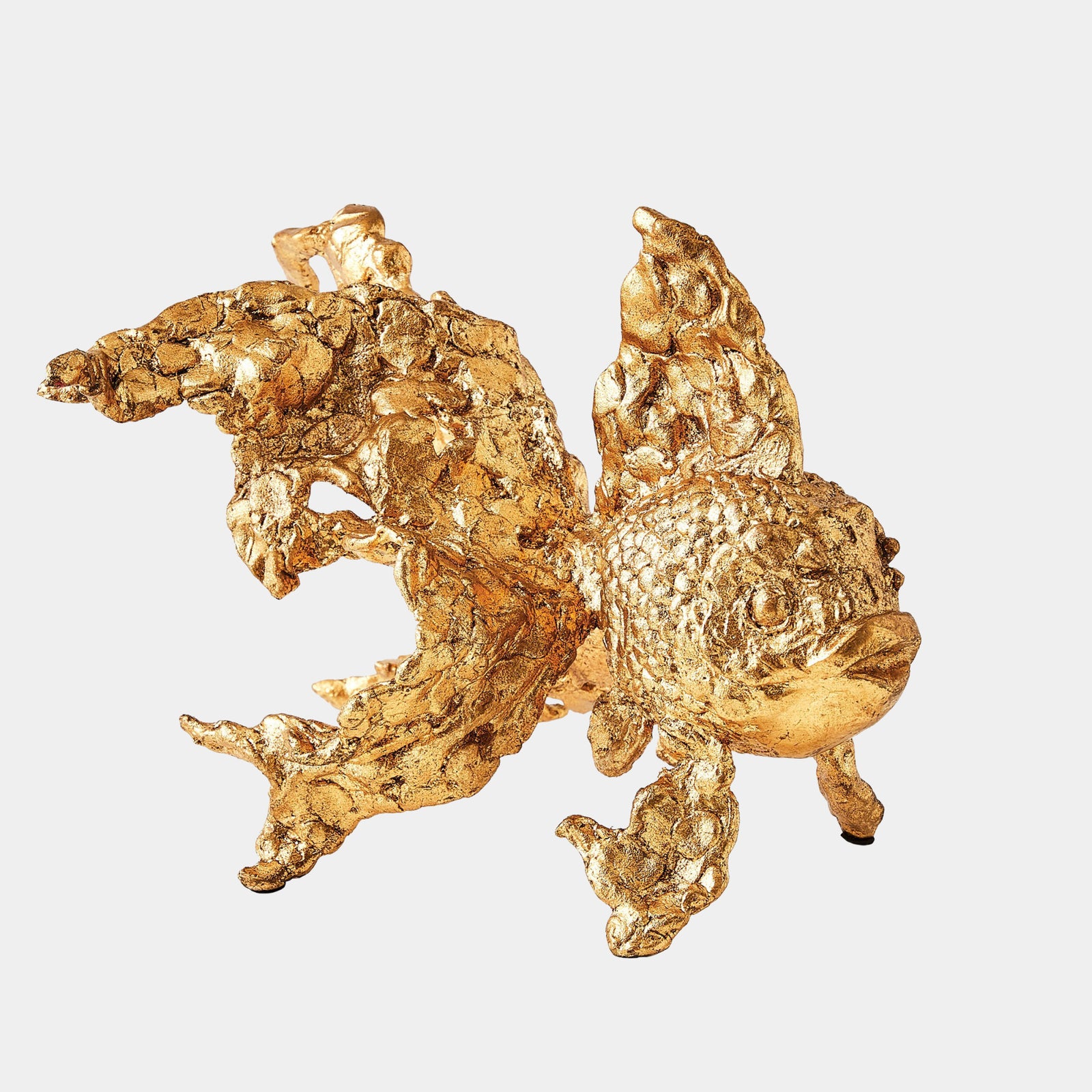 Angelfish-Gold Leaf