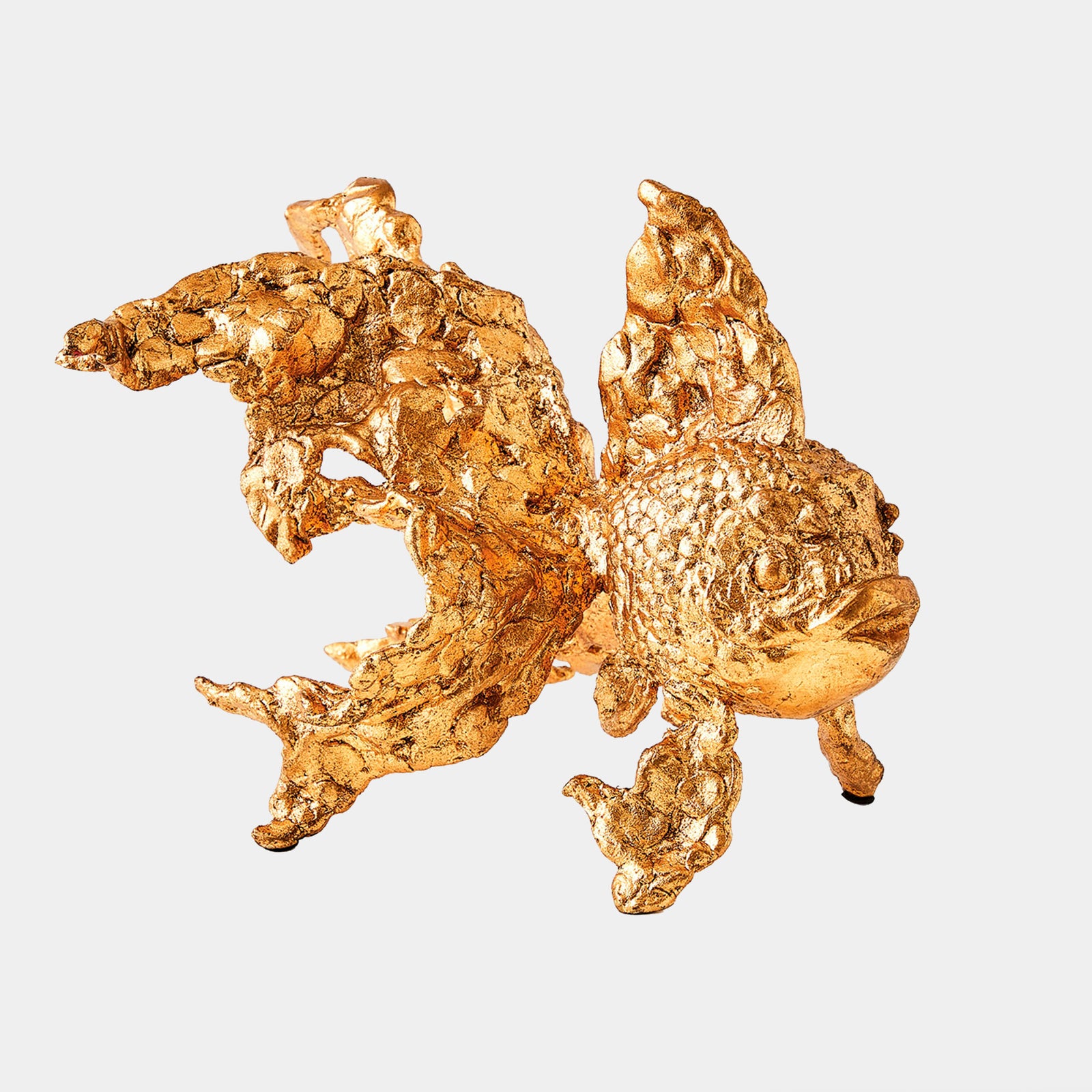 Angelfish-Gold Leaf