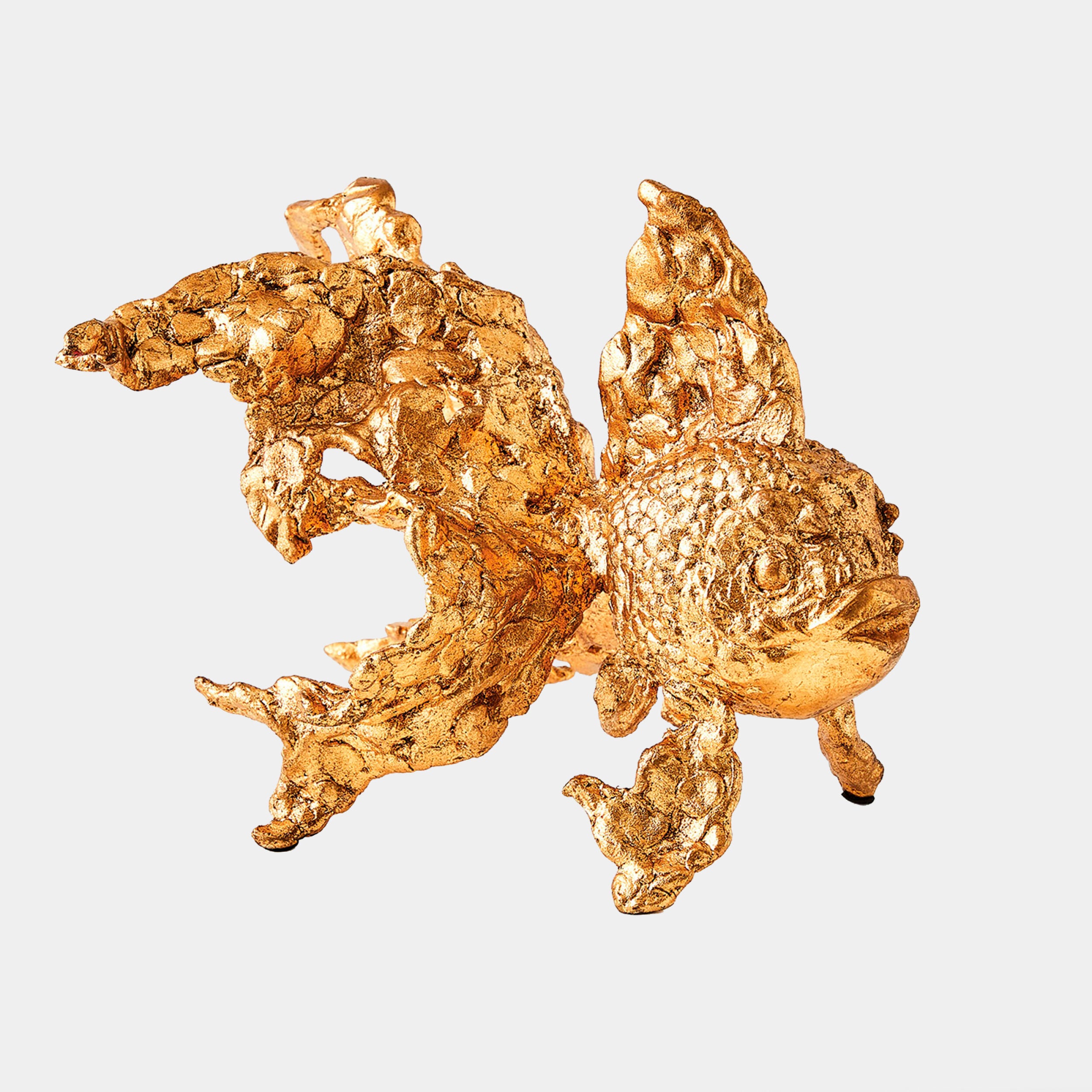 Angelfish-Gold Leaf
