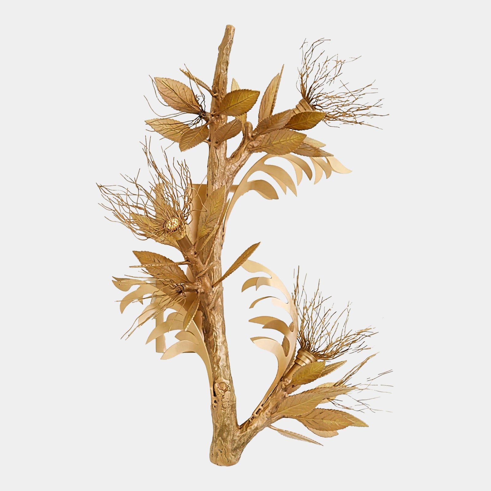 Albizia Wall Sconce