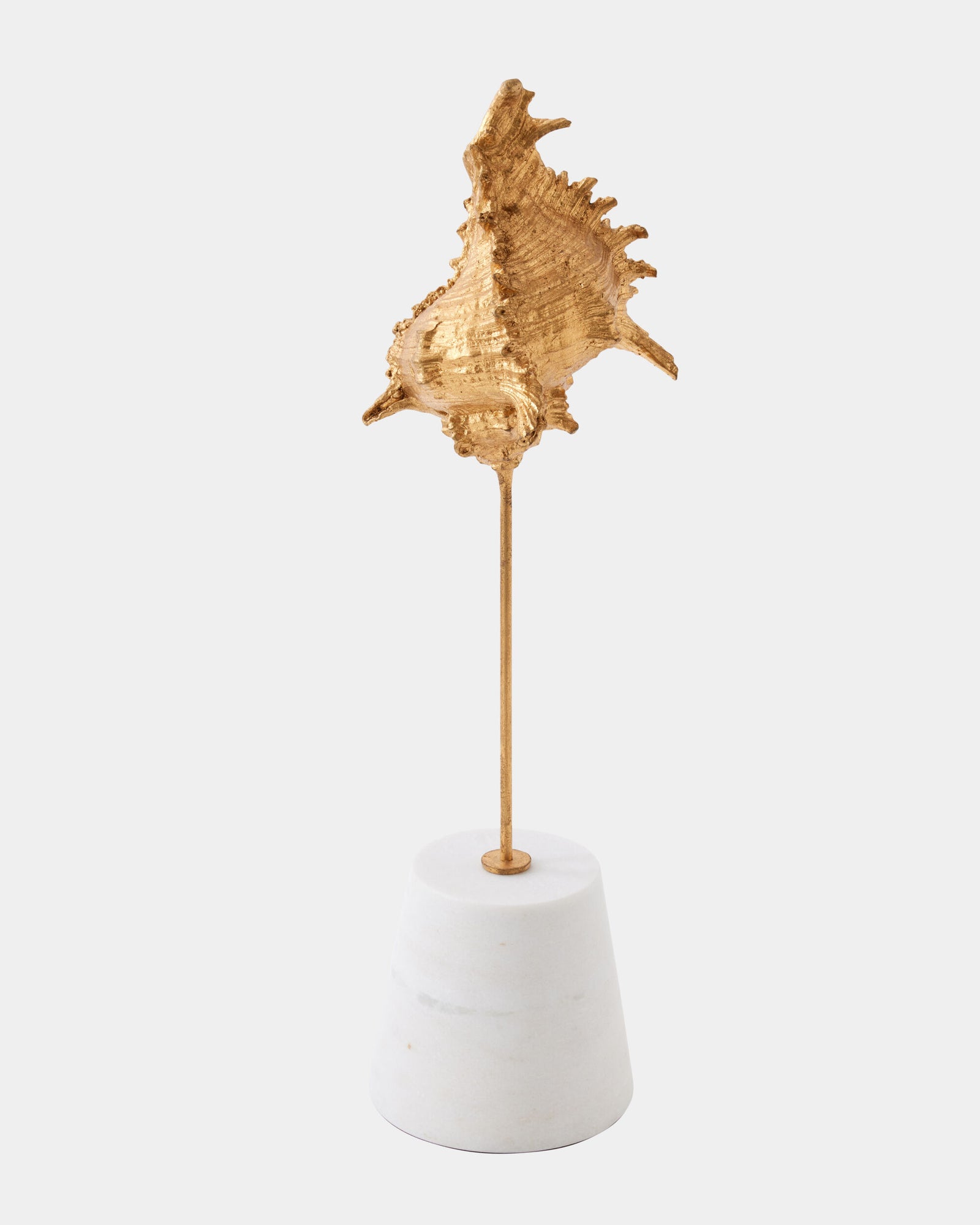 Shells on Marble Miter Gold Leaf-Sm