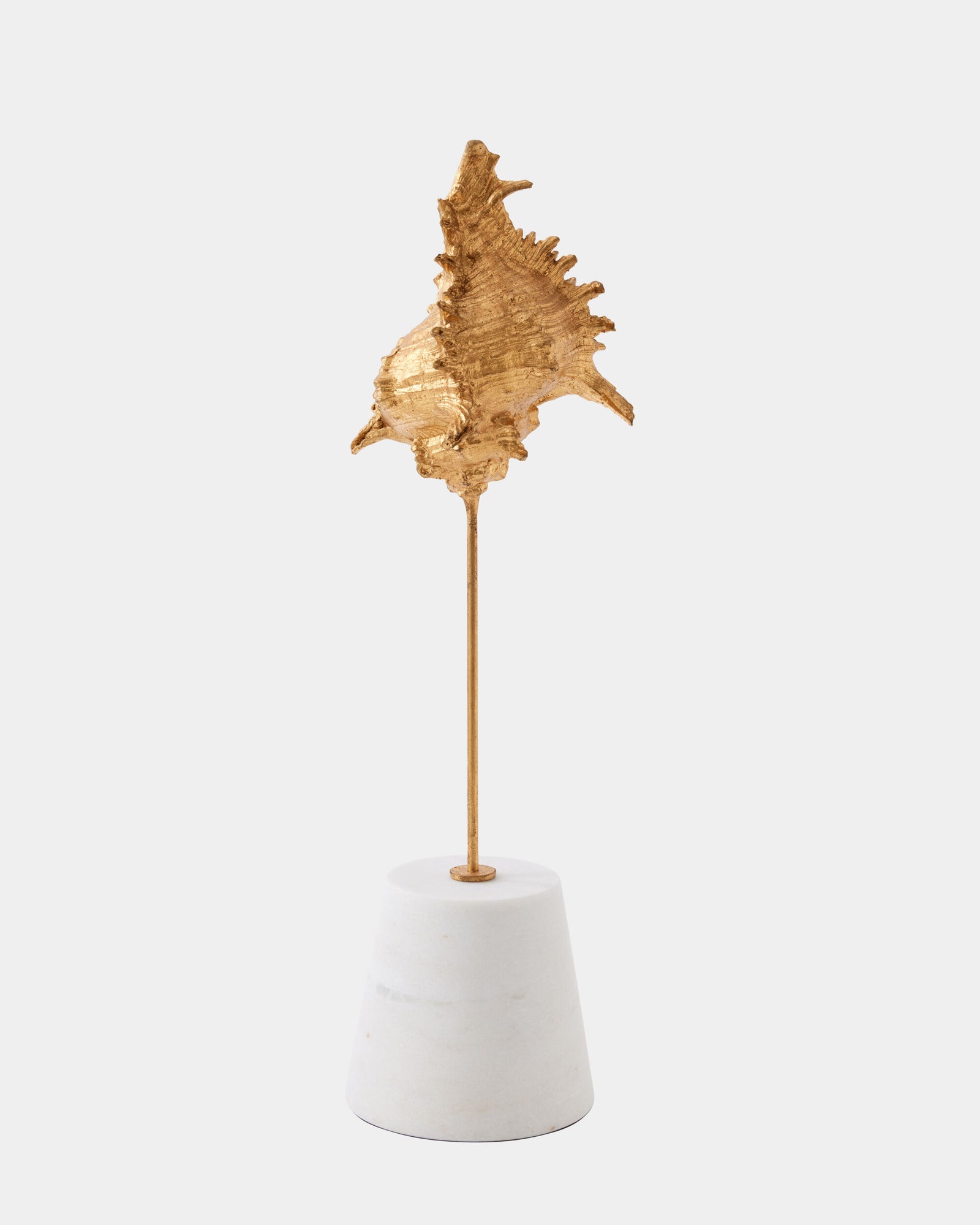 Shells on Marble Miter Gold Leaf-Sm