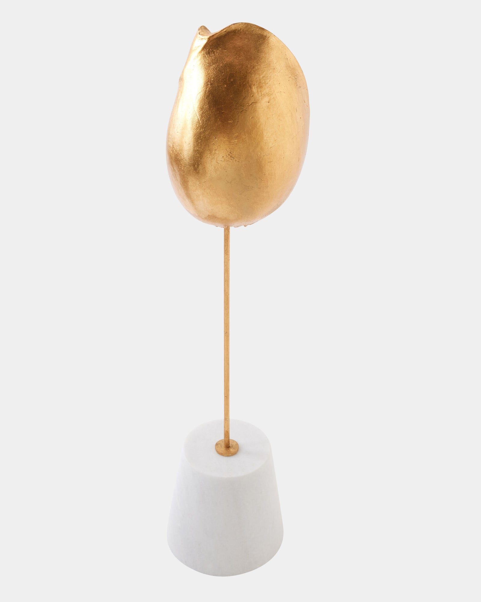 Shells on Marble Miter Gold Leaf-Med
