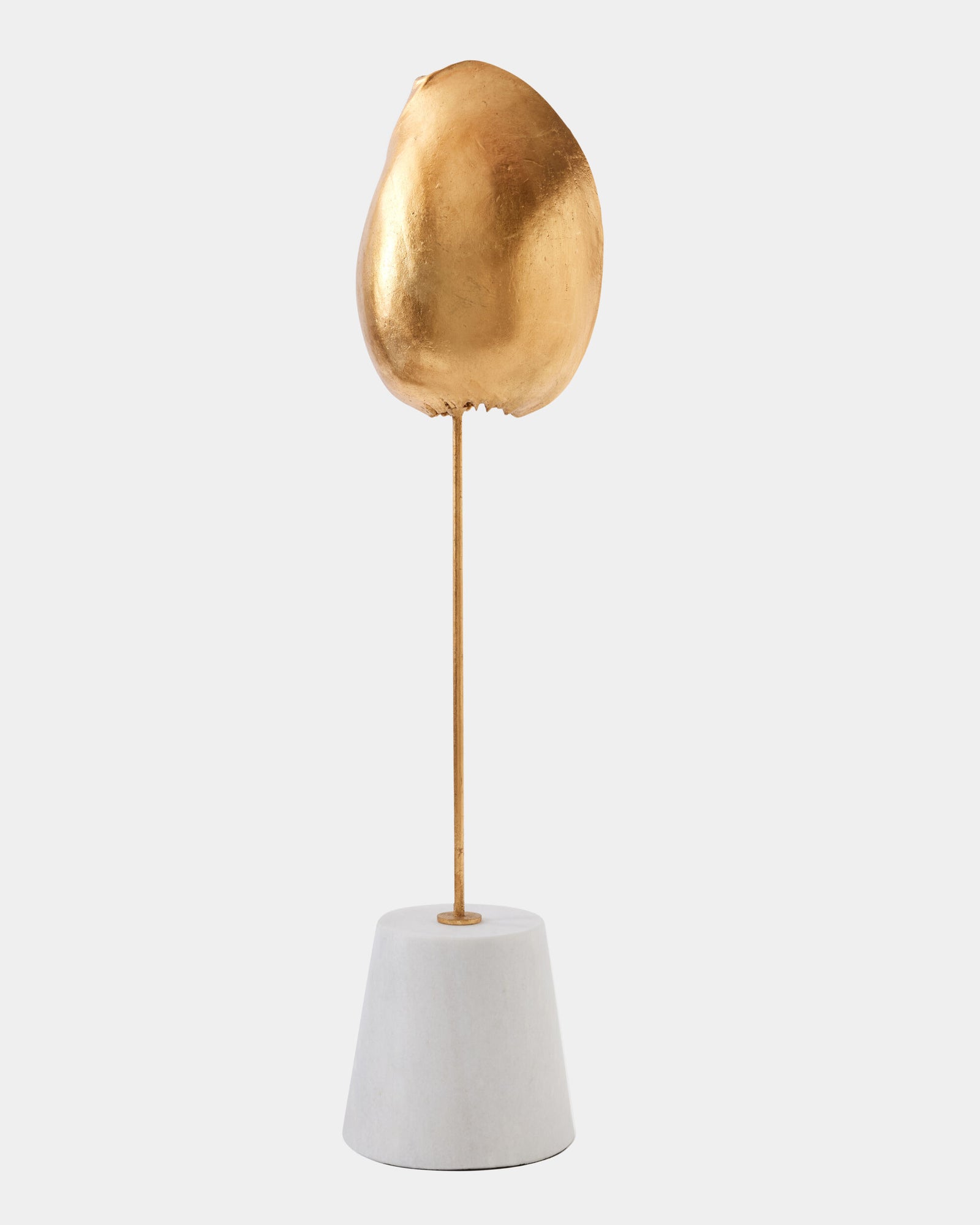 Shells on Marble Miter Gold Leaf-Med