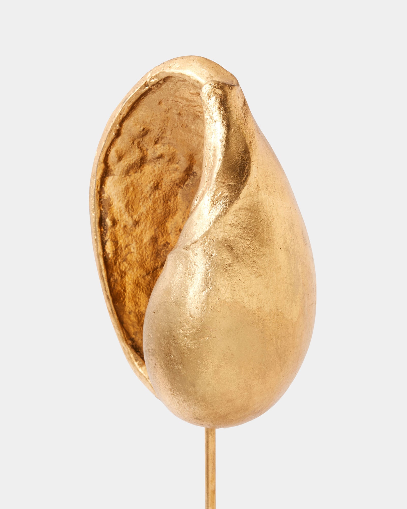 Shells on Marble Miter Gold Leaf-Med