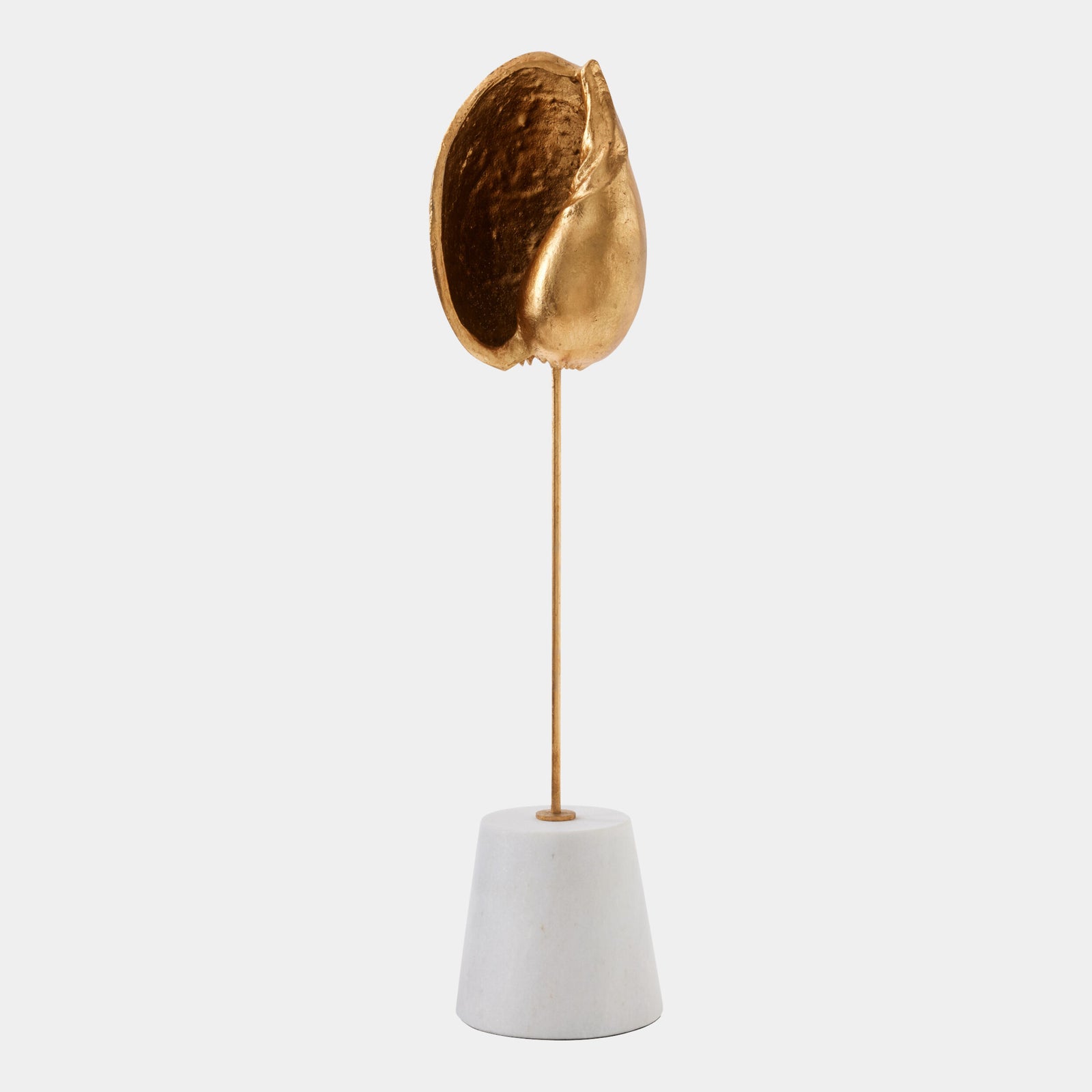 Shells on Marble Miter Gold Leaf-Med