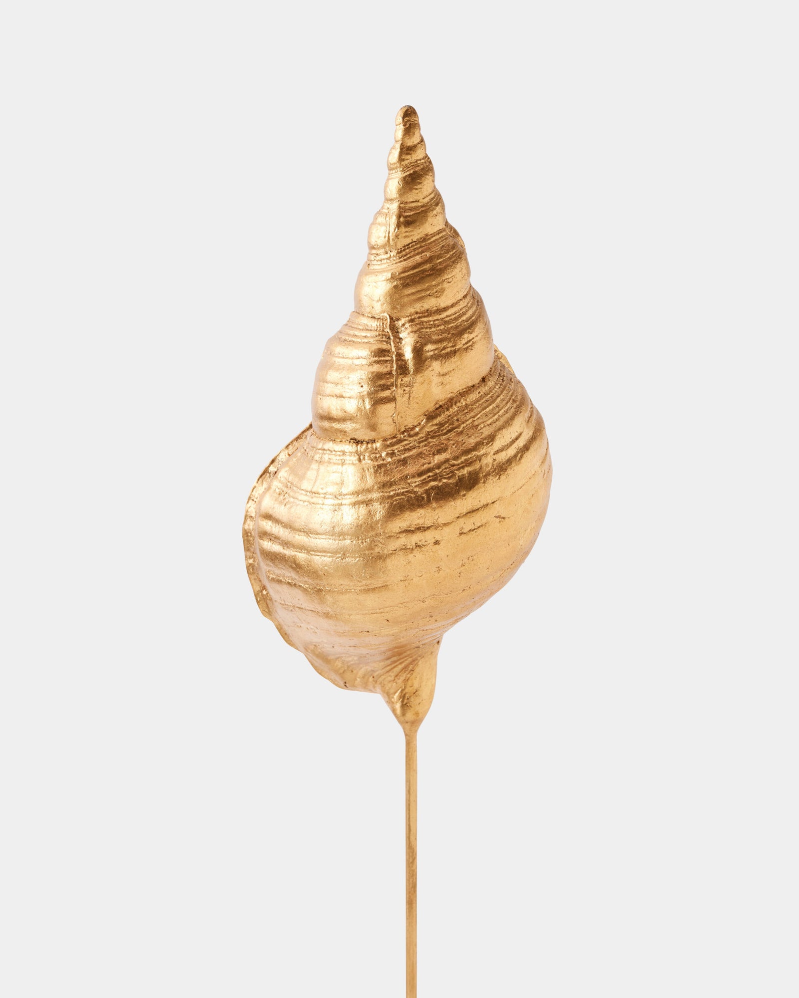 Shells on Marble Miter Gold Leaf-Lg