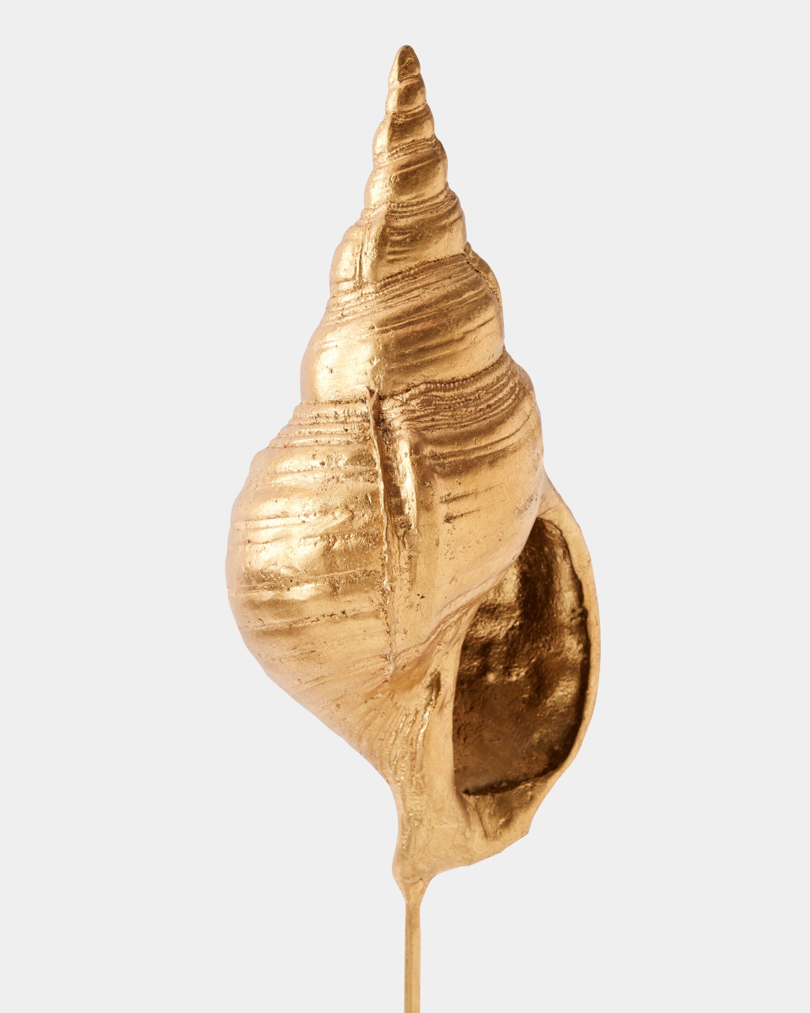 Shells on Marble Miter Gold Leaf-Lg