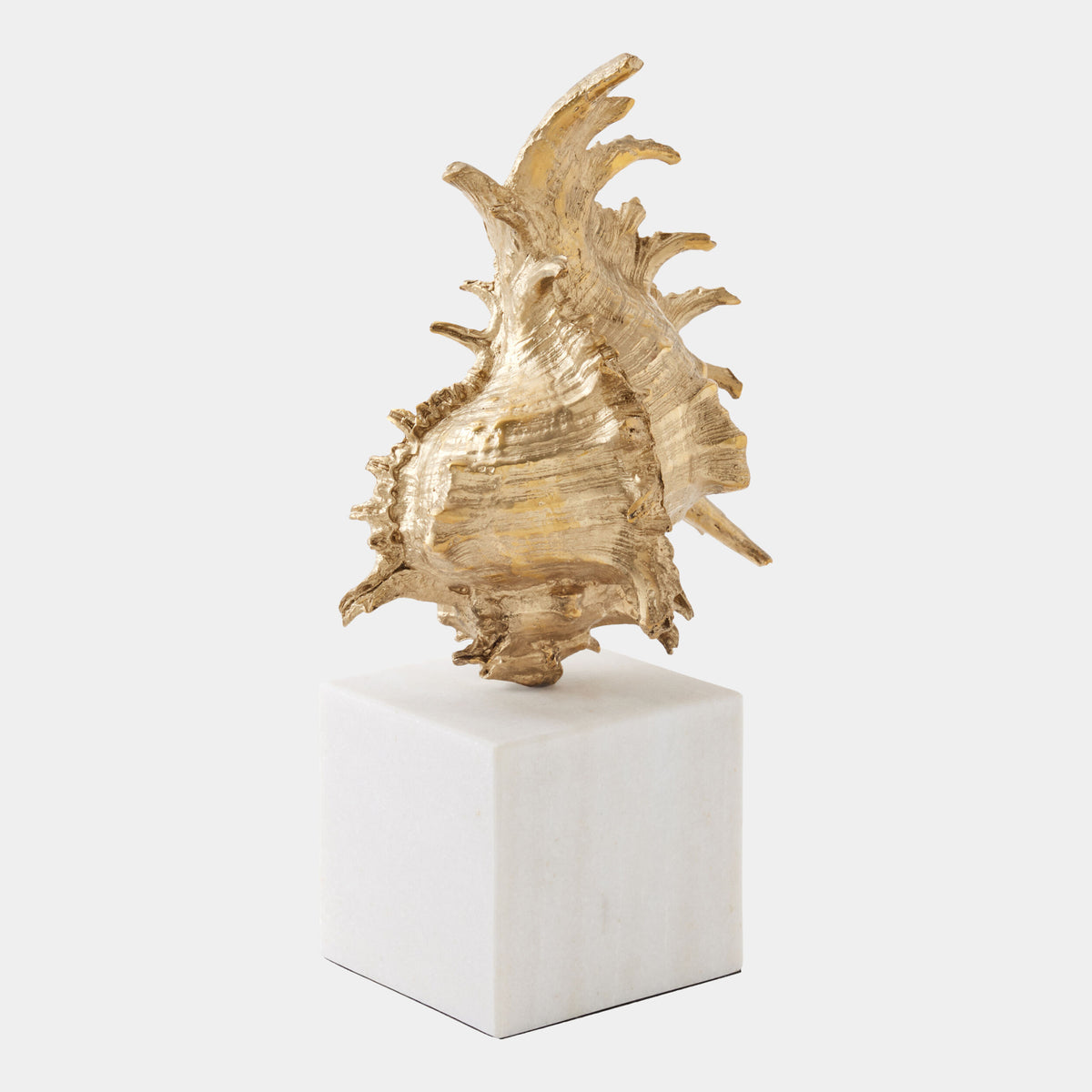 Spider Conch Shell Sculpture-Brass