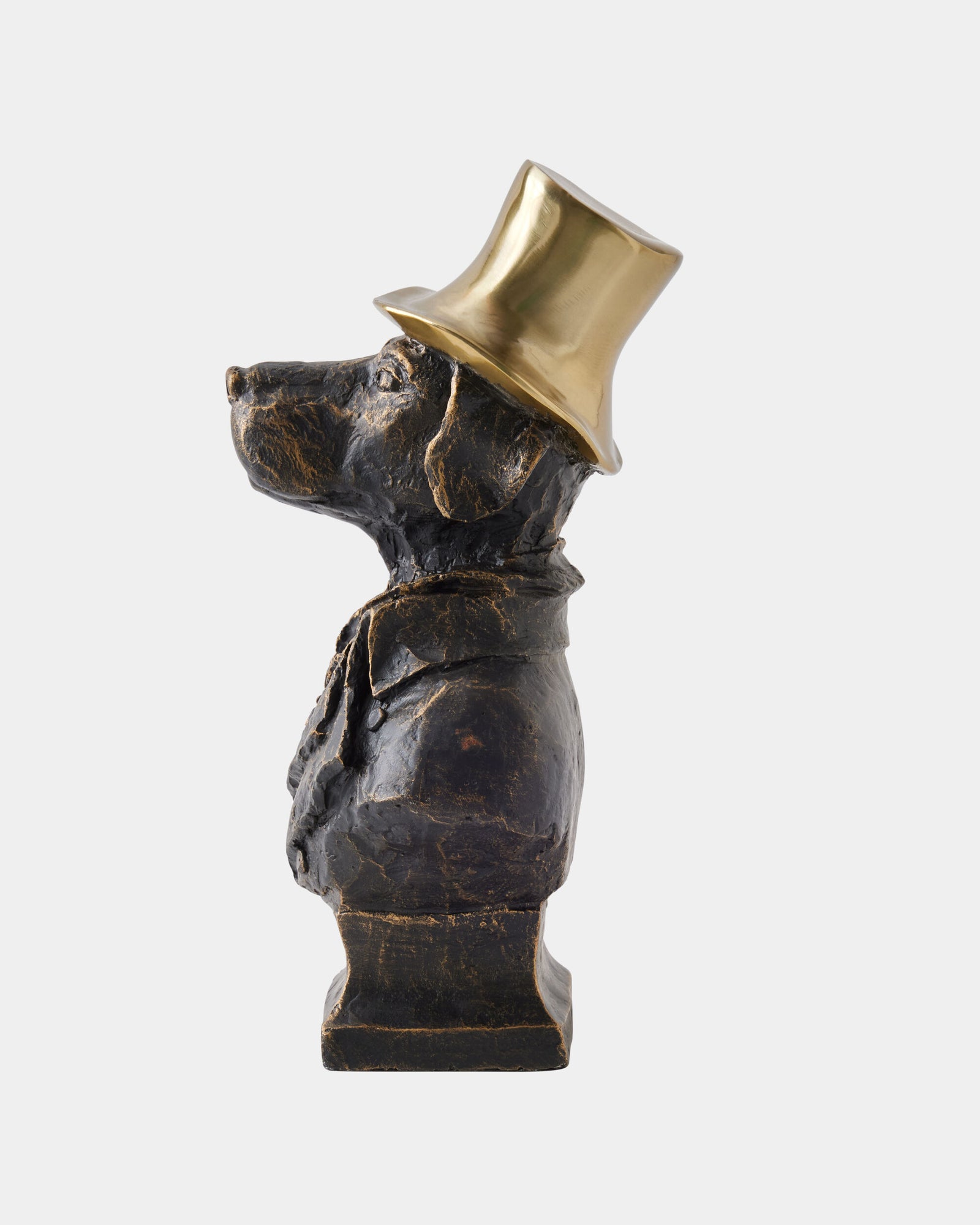 Labrador w/Brass Hat