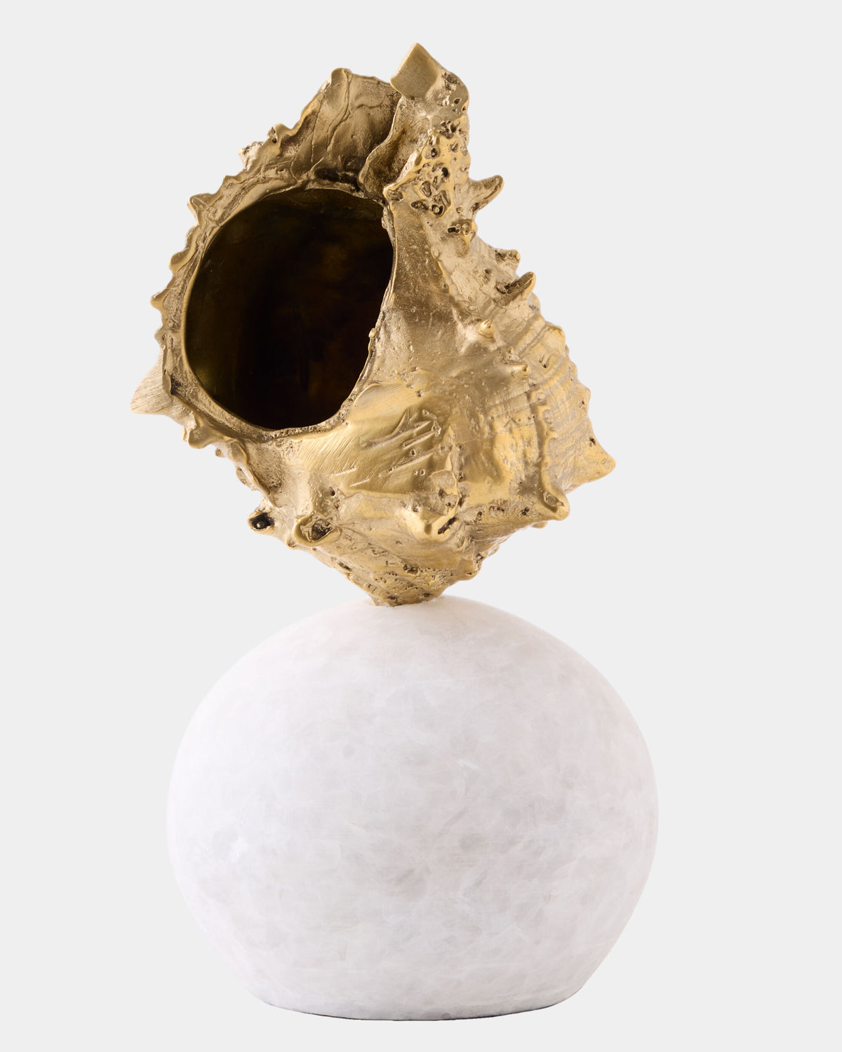 Kings Crown Shell Sculpture