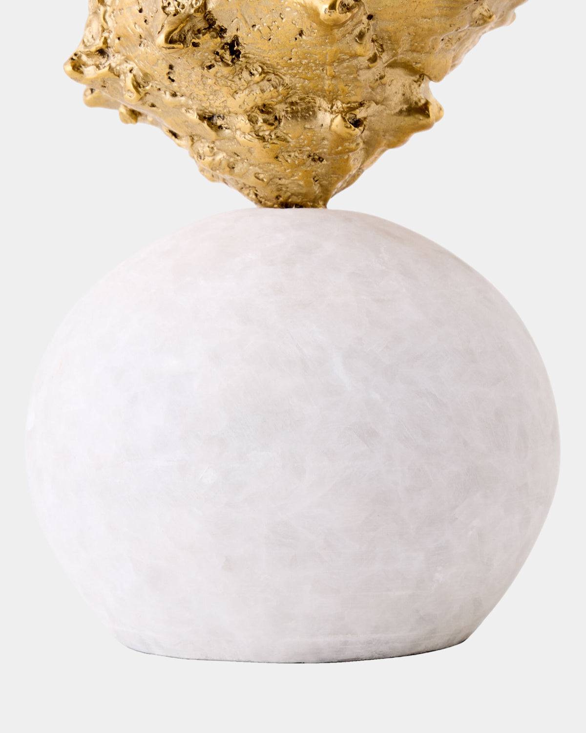 Kings Crown Shell Sculpture