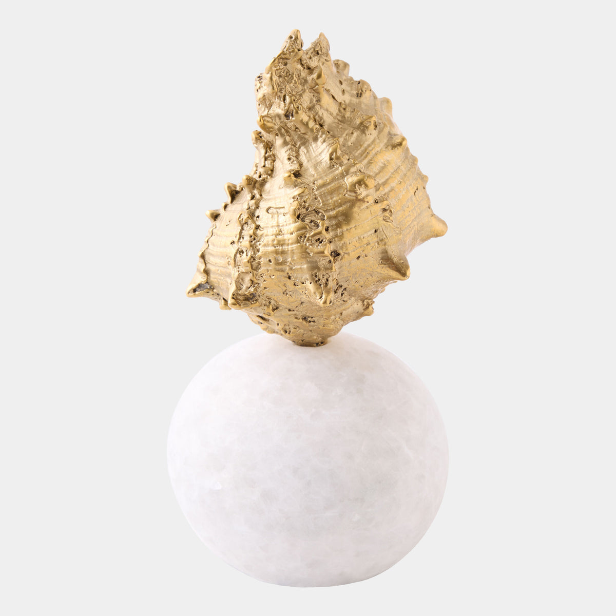 Kings Crown Shell Sculpture