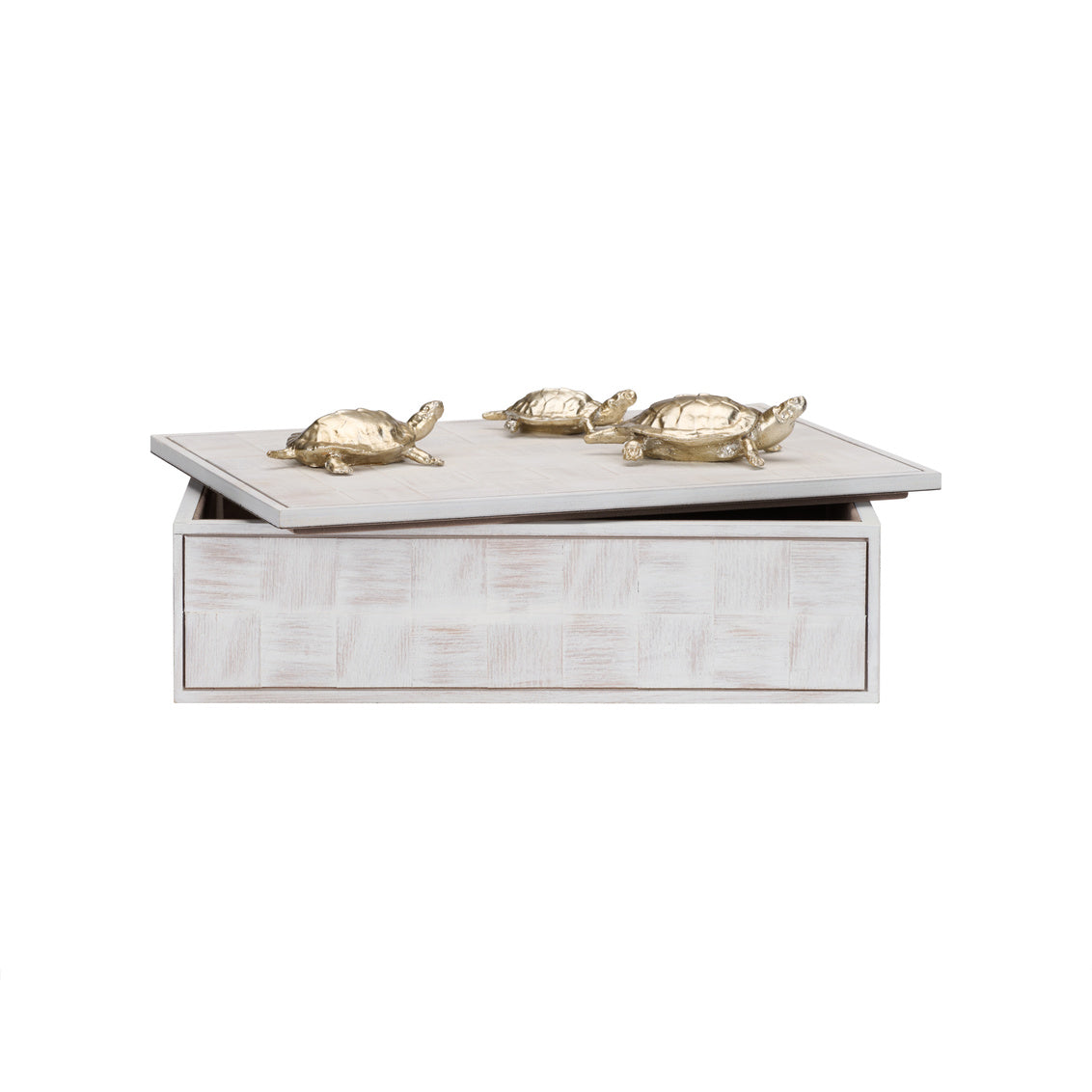 Tortoise Family Box