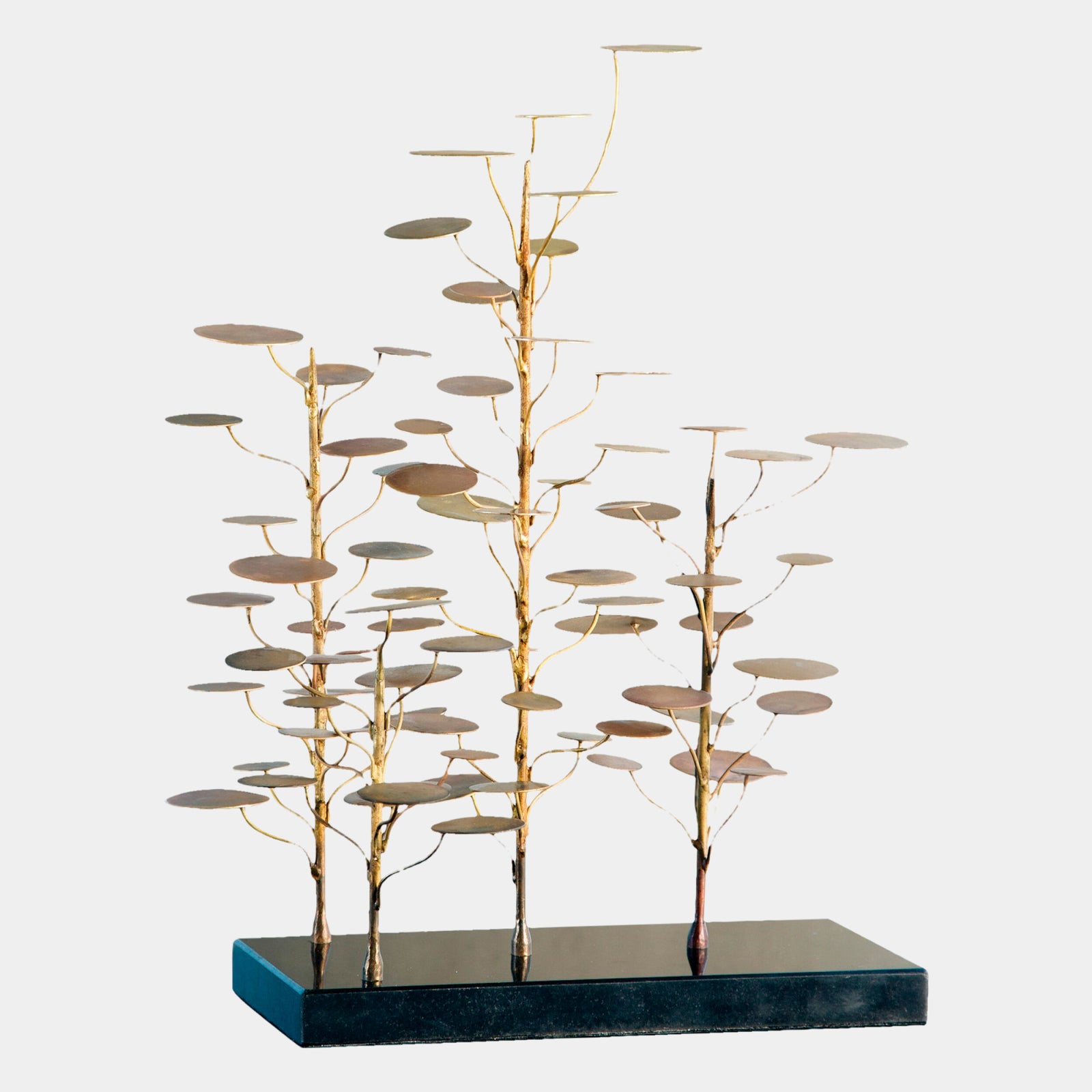 Eucalyptus Tree