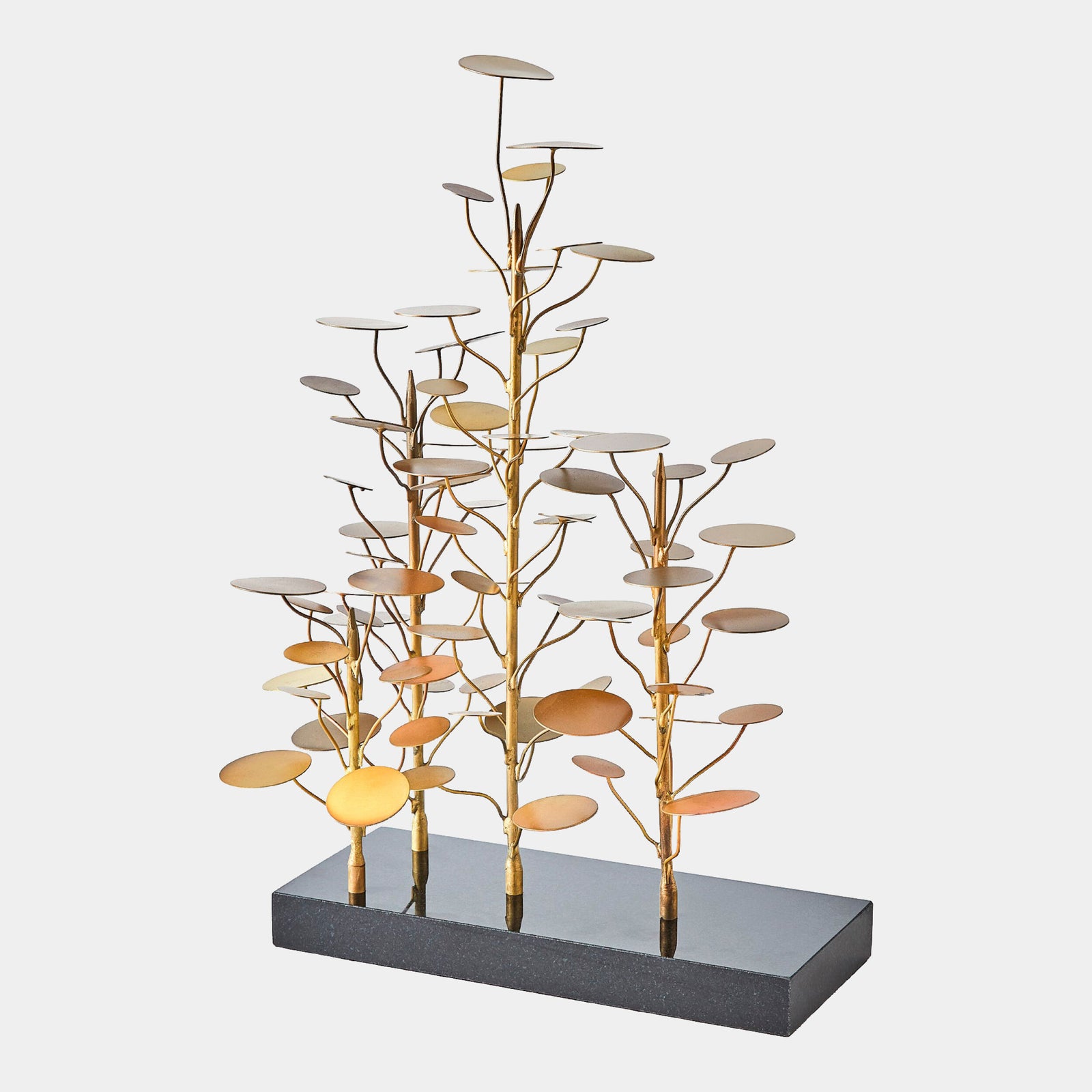 Eucalyptus Tree