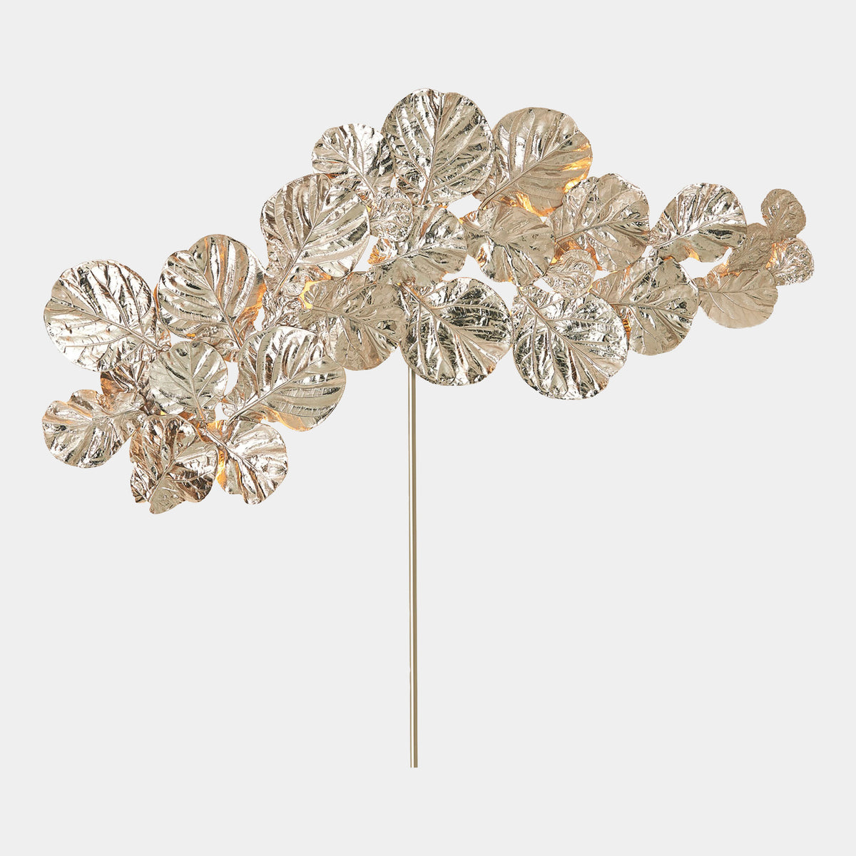 Fiddle Fig Lighted Wall Decor-Nickel