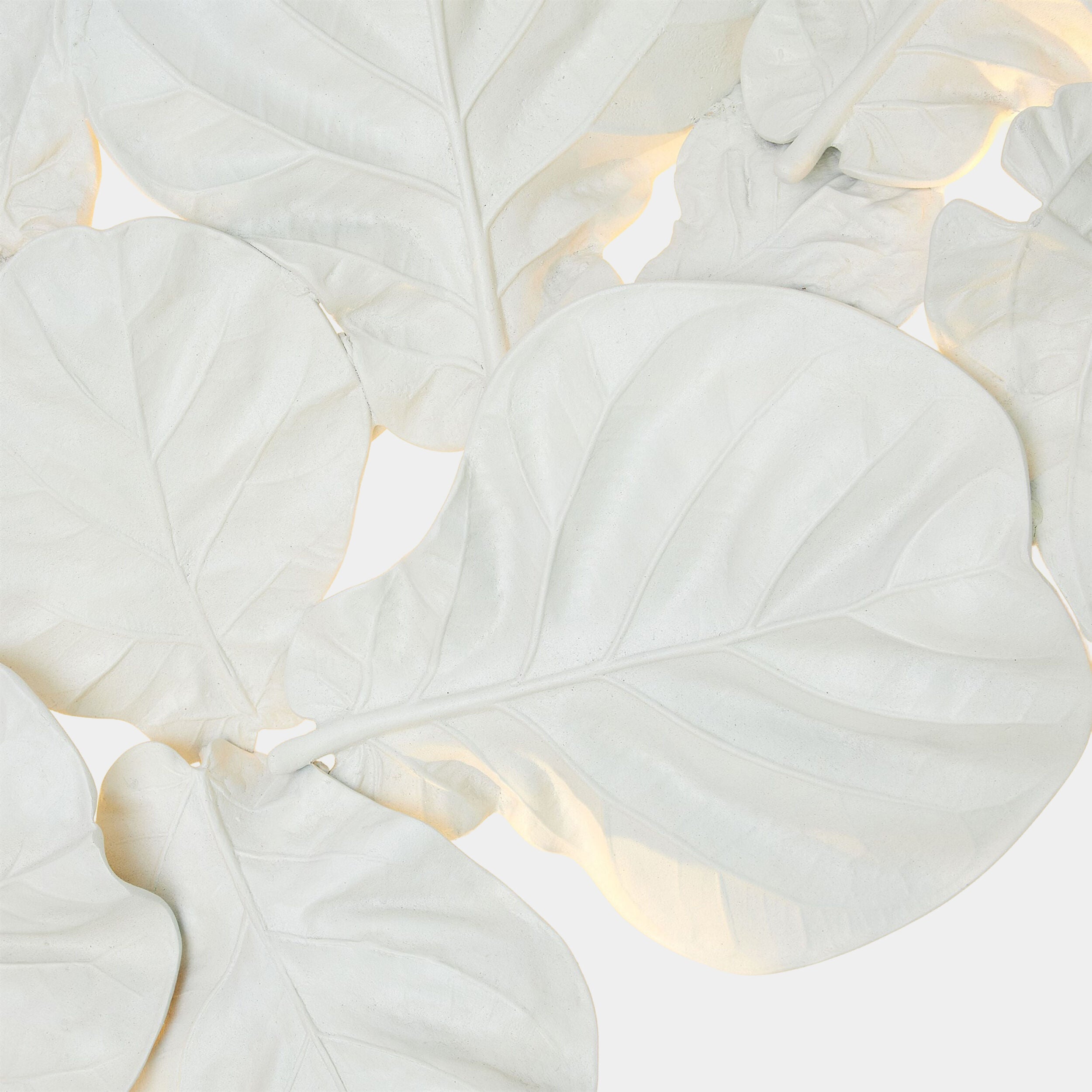 Fiddle Fig Lighted Wall Decor-White