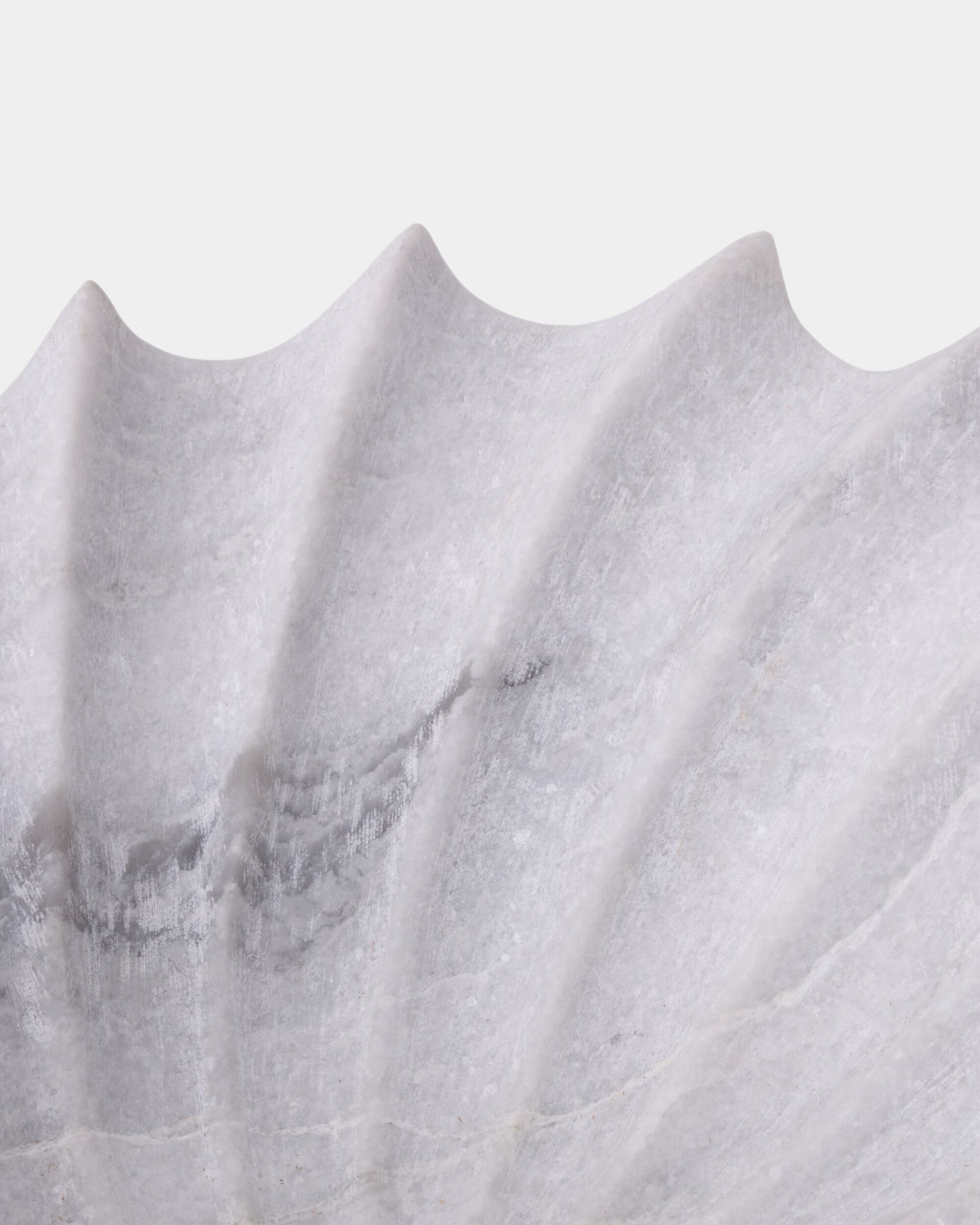 Turbinio Shell Bowl-White
